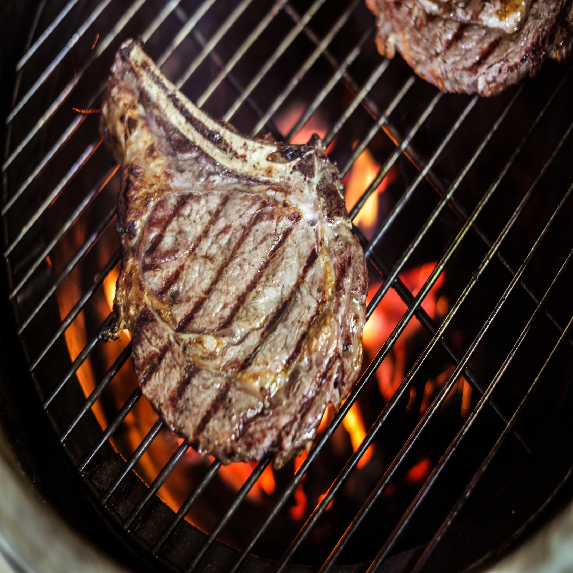 Expert Grill Regular Charcoal Briquets (16 lb) 74xd7