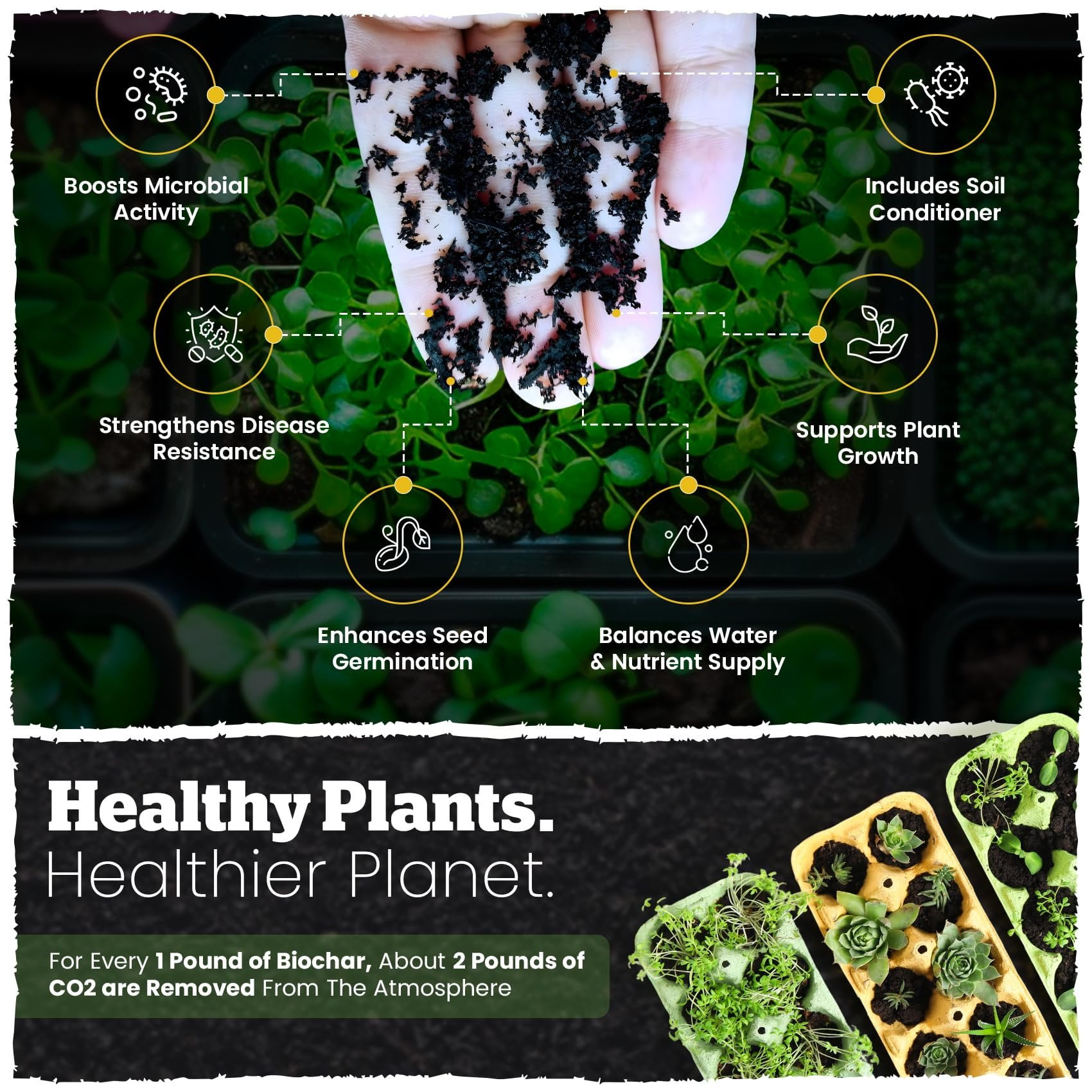 Wakefield Biochar Blend Garden Soil with CarbonBoost (2 Quarts) 7yhw2