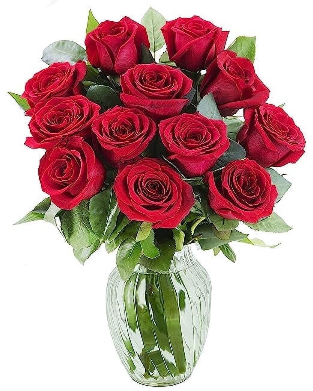 KaBloom 12 Fresh Cut Red Roses Bouquet with Decorative Vase (12 Count) podz8