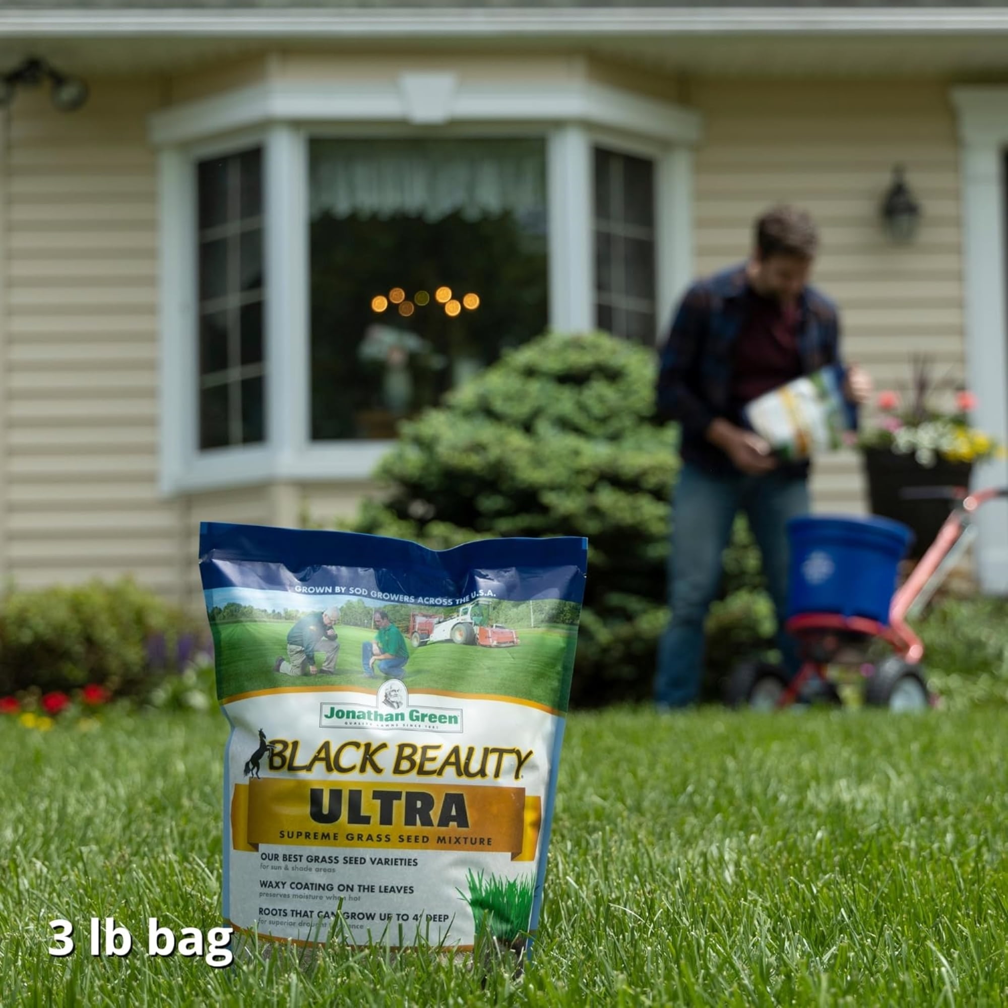 Jonathan Green Black Beauty Ultra Grass Seed for Sun and Shade (Green, 3 lb) 5qlwf