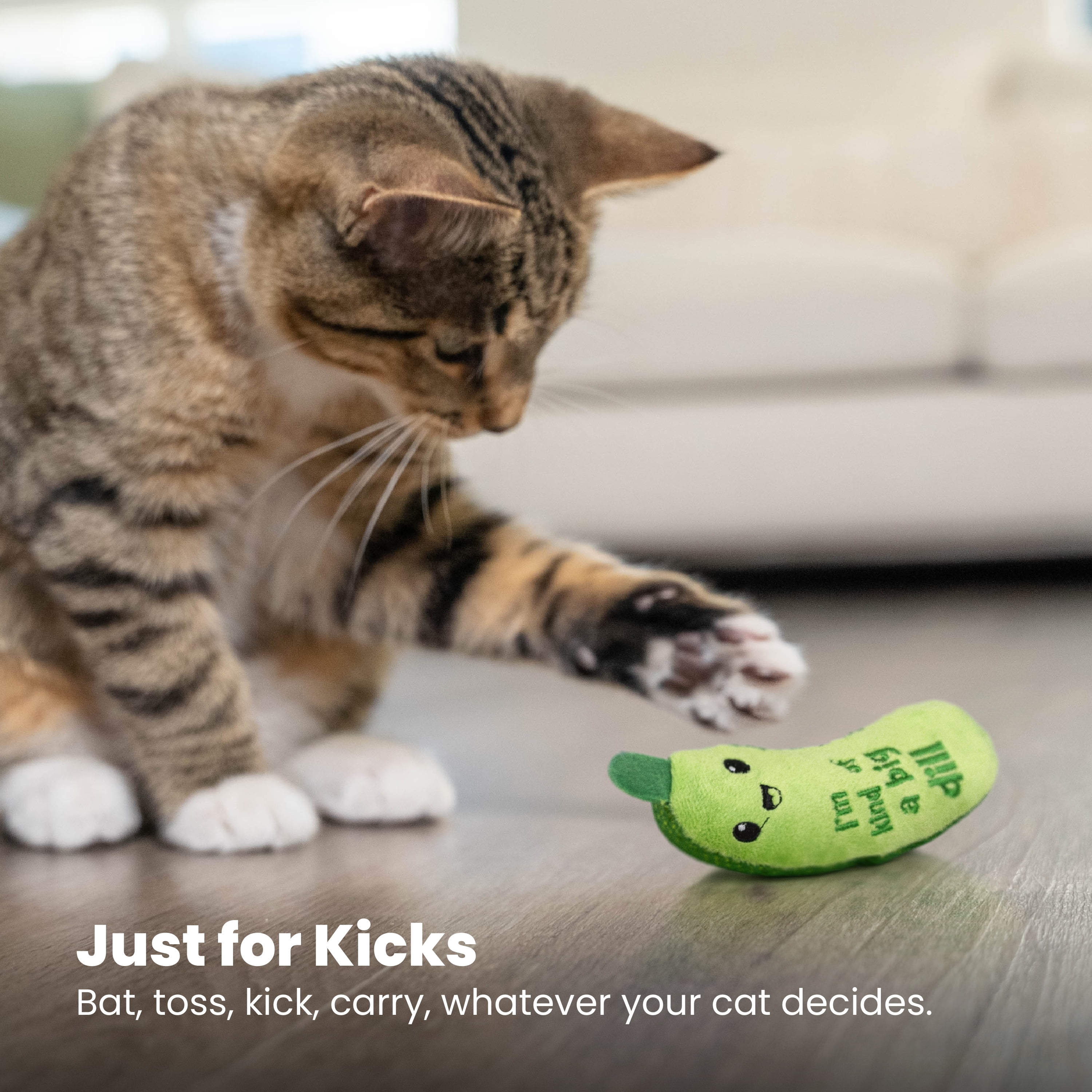 Catstages Crunchy Pickle Kicker Cat Toy, Plush Crinkle Toy with Catnip and Dental Mesh (Green, 6.5 in) 8vv8s