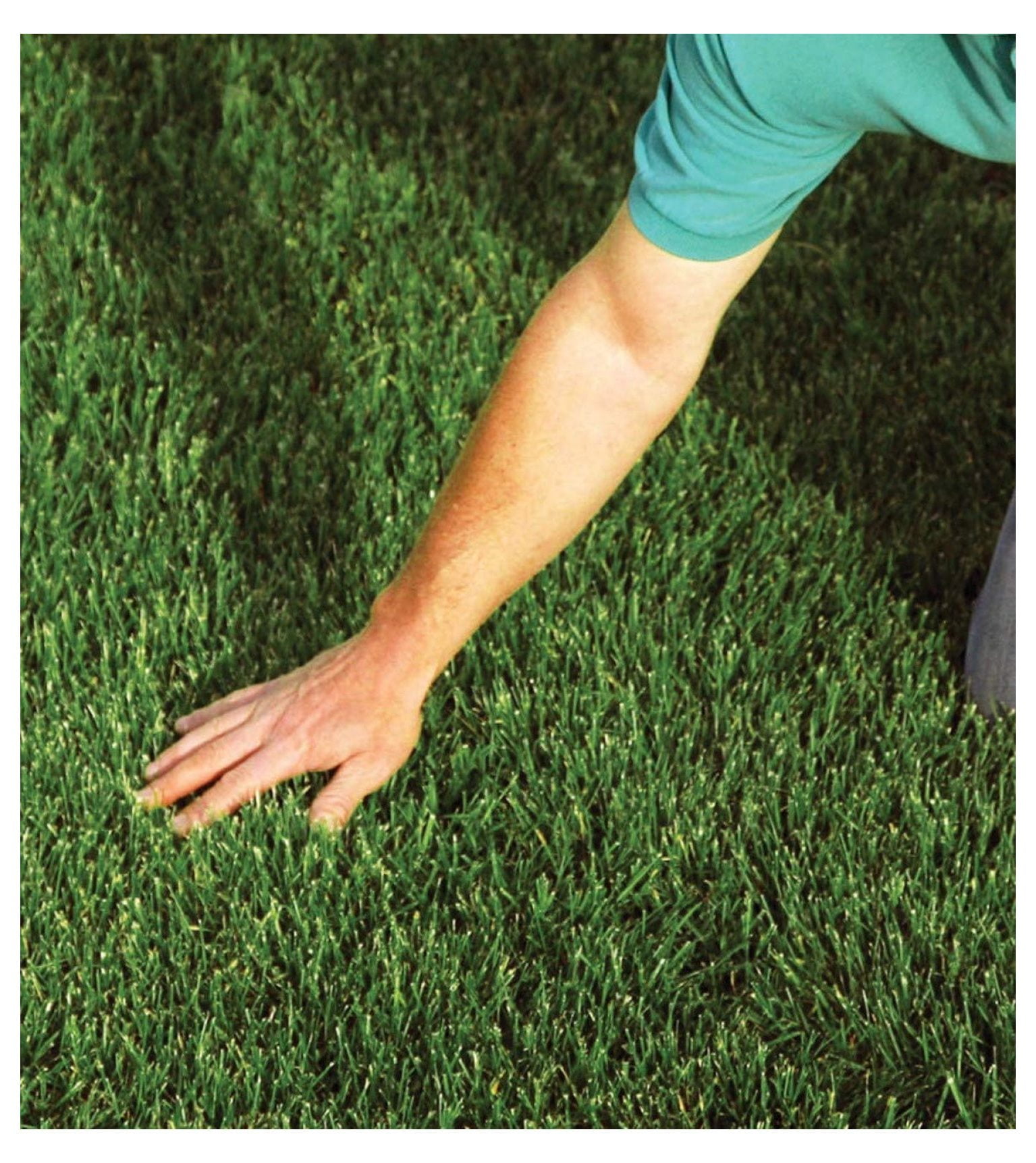 NUSXXL Premium Organic Garden Mulch (2.5 cu ft) 1qi6y