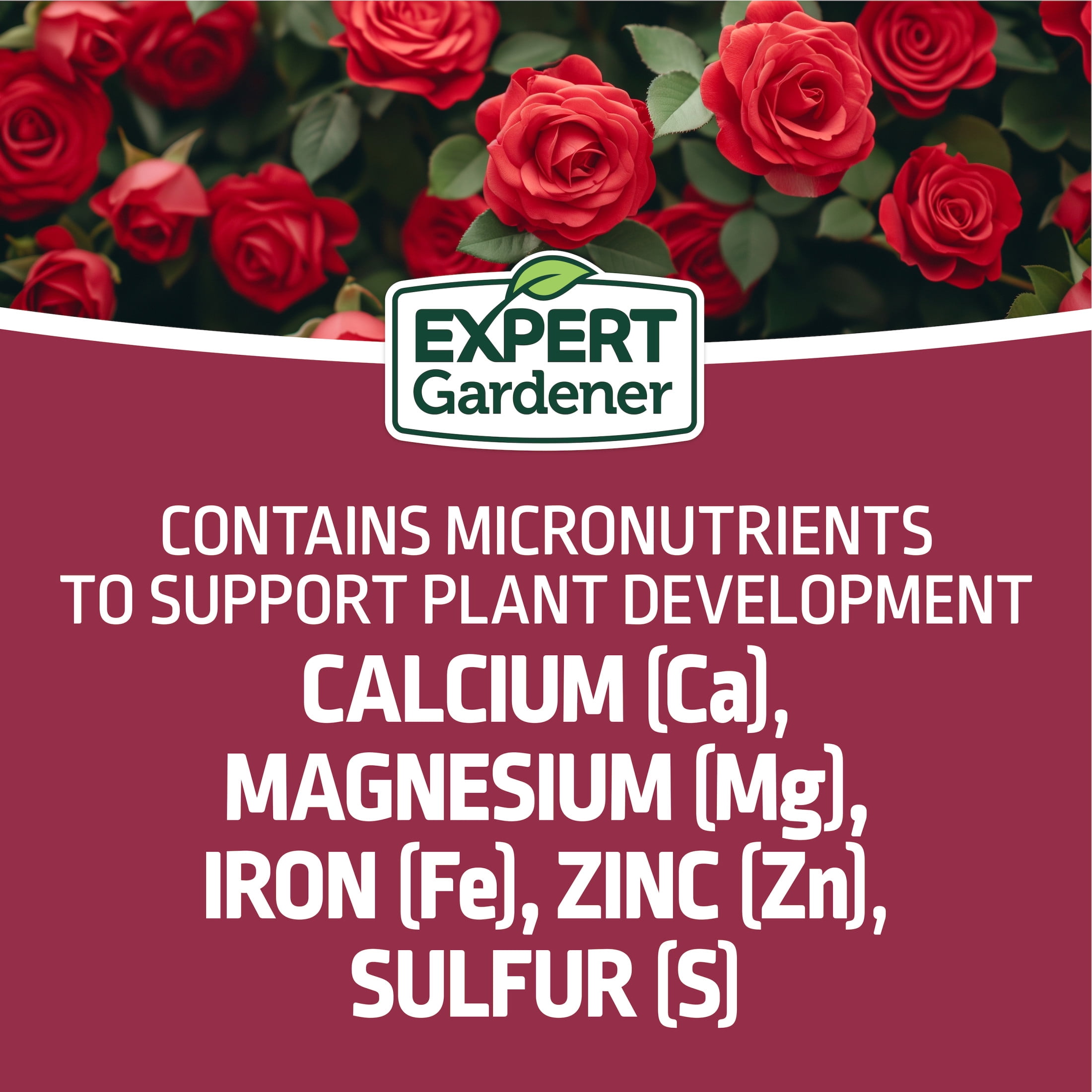 Expert Gardener Rose Plant Food Fertilizer (12-6-10, 4 lb) fbo5f