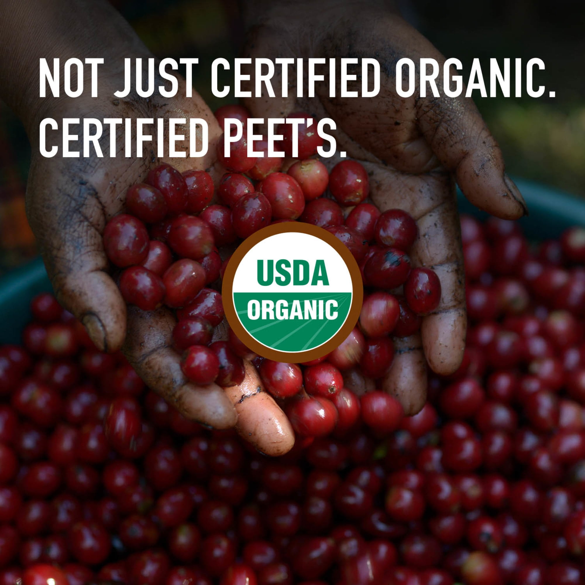 Peet's Coffee Organic French Roast Dark Roast Ground Coffee (18 oz) r0ukb