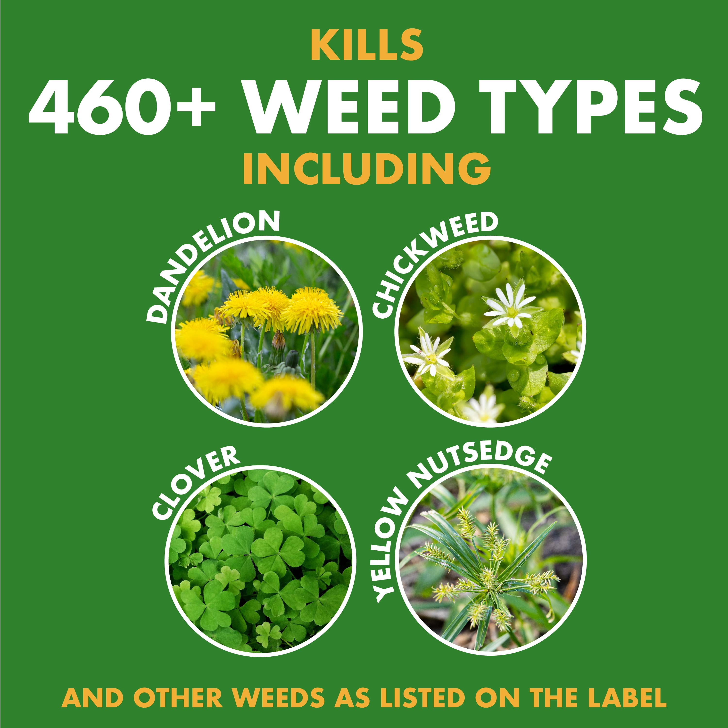 Spectracide Weed Stop for Lawns Ready-to-Spray Concentrate (32 oz) 7la8u