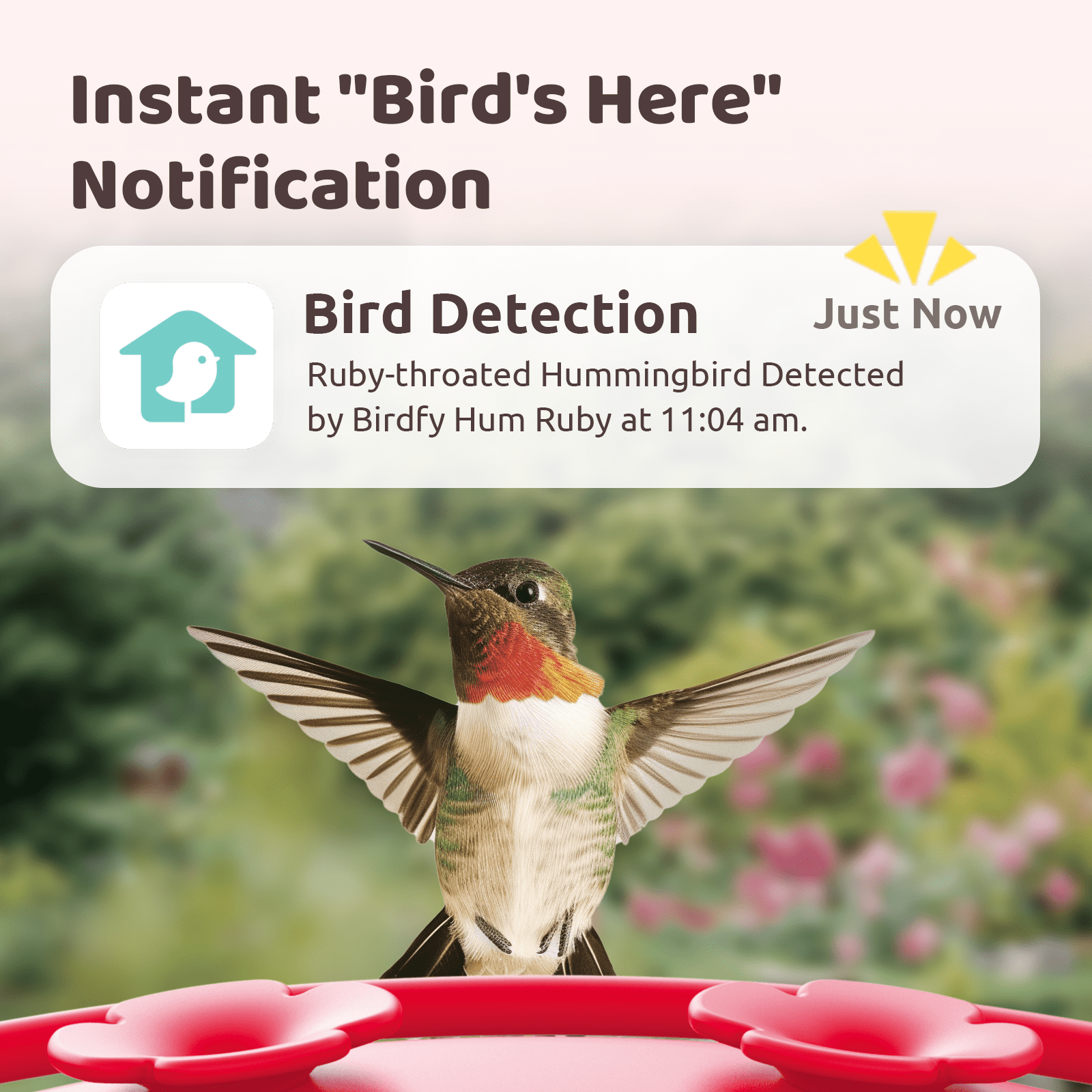 Birdfy Hummingbird Feeder with Camera, 1080P FHD Smart Bird Watching Station with AI Species Identification and Ant Moat (Red) wz3wt