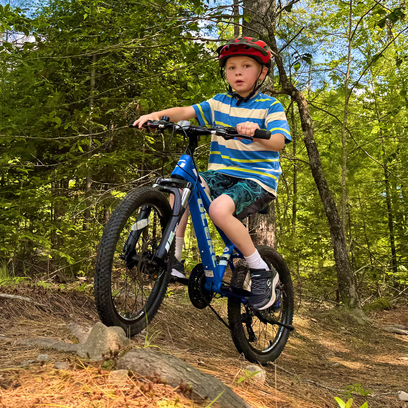 Glerc Skyline Kids Mountain Bike, 21-Speed Bicycle with Front Suspension and Dual Disc Brakes (Black, 24 in) 7bweo