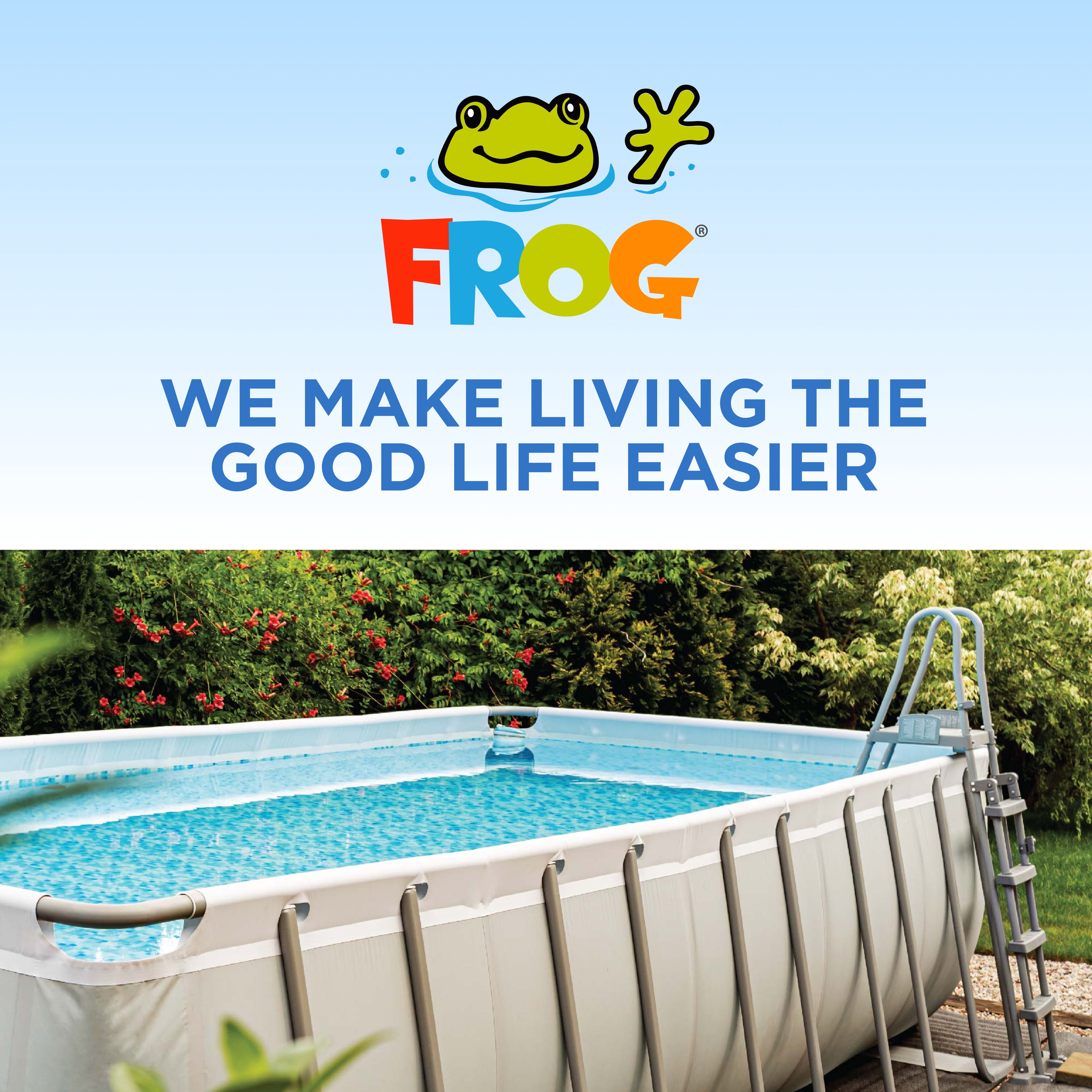 FROG Replacement Chlorine Cartridges for Flippin’ FROG Floating Sanitizer System (1 Pack) vopc0