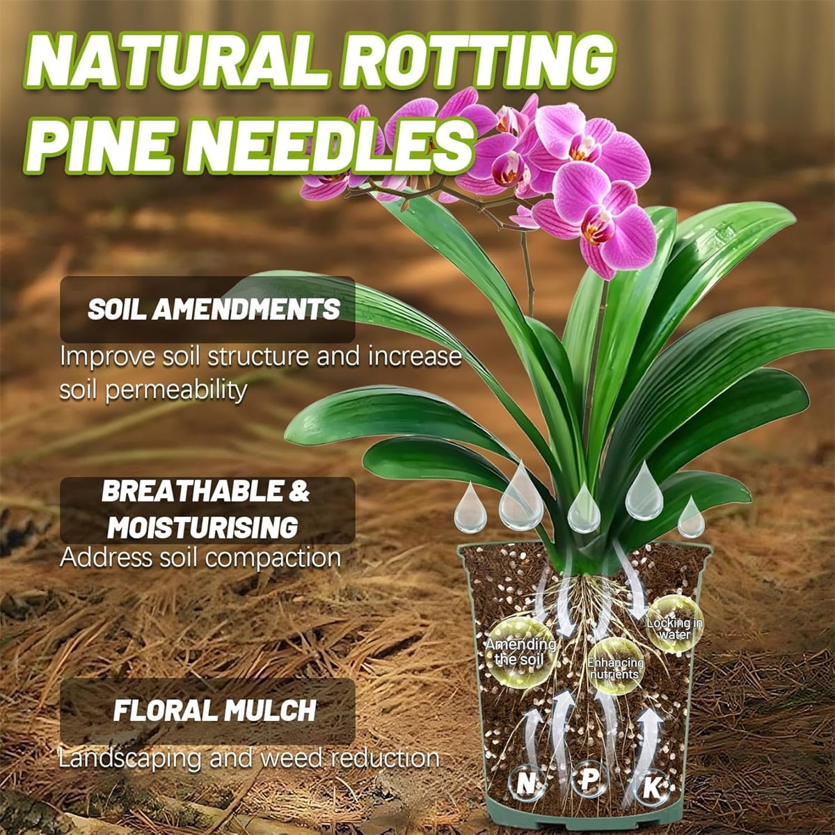 Tutuviw Natural Pine Needle Mulch for Orchids and Potted Plants, Organic Soil Amendment for Garden Landscaping (10 oz) 8efan