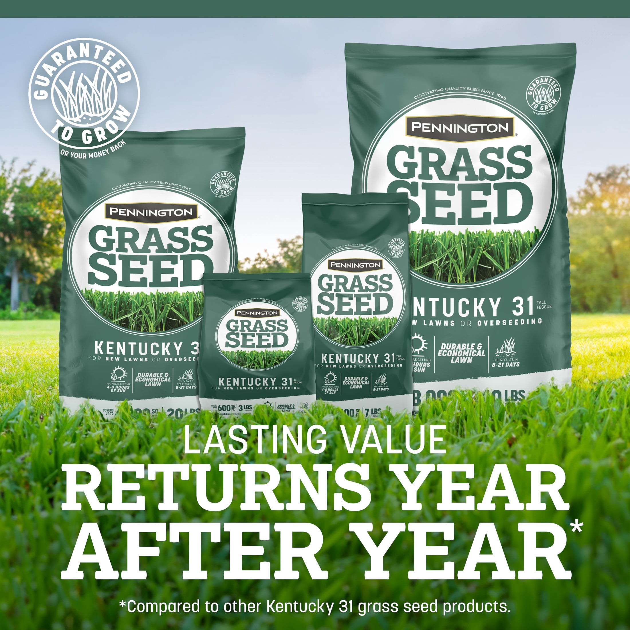 Pennington Kentucky 31 Tall Fescue Grass Seed Mix for Durable Lawns (Sun to Partial Shade, 20 lb) y5lrp