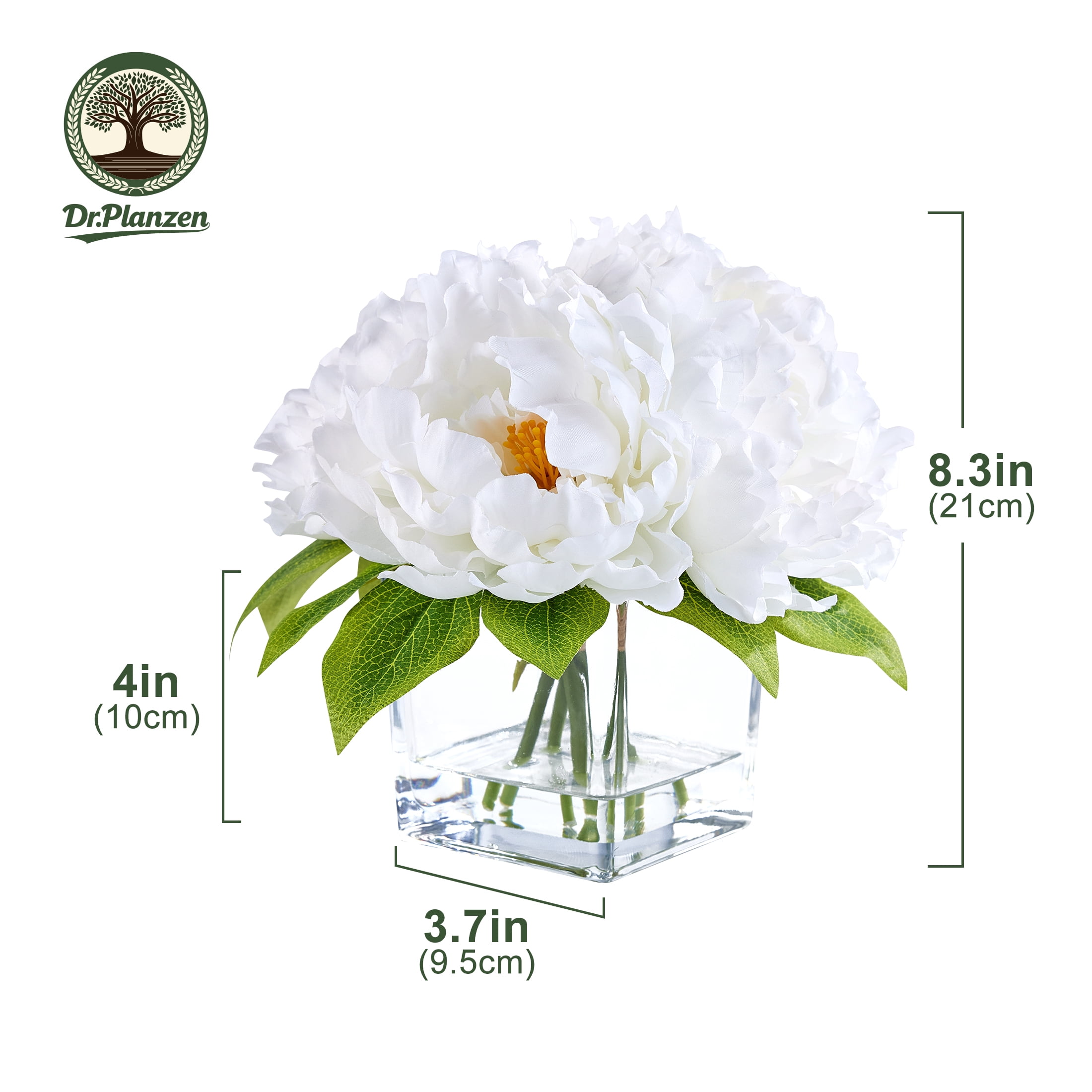 DR.Planzen Artificial Peony Flower Arrangement with Glass Vase (White, 8.4 in) mte3k