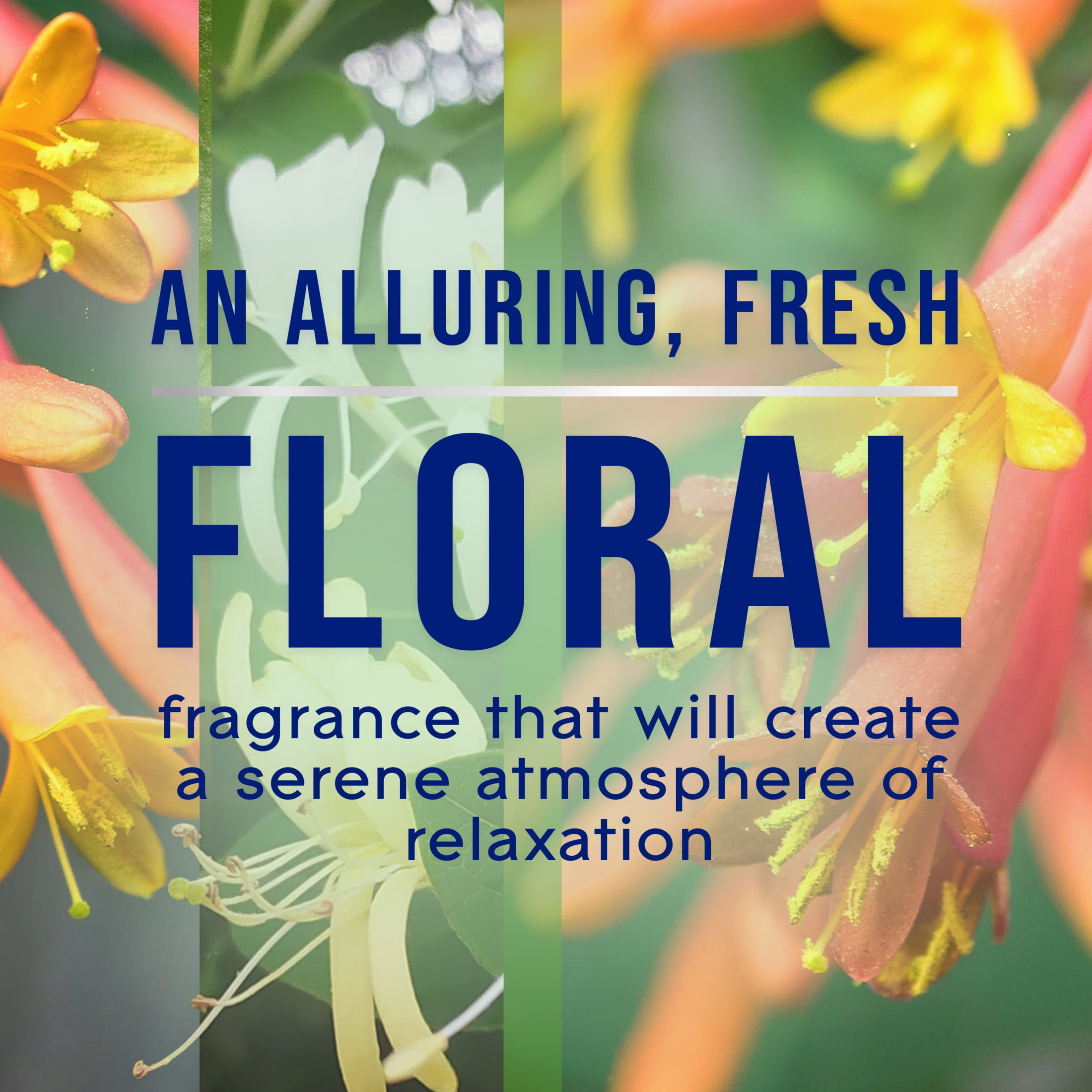 Glade PlugIns Scented Oil Air Freshener Refills, Jasmine & Honeysuckle, Long-Lasting Floral Fragrance (5 Pack, 0.67 fl oz Each) 3wtv5