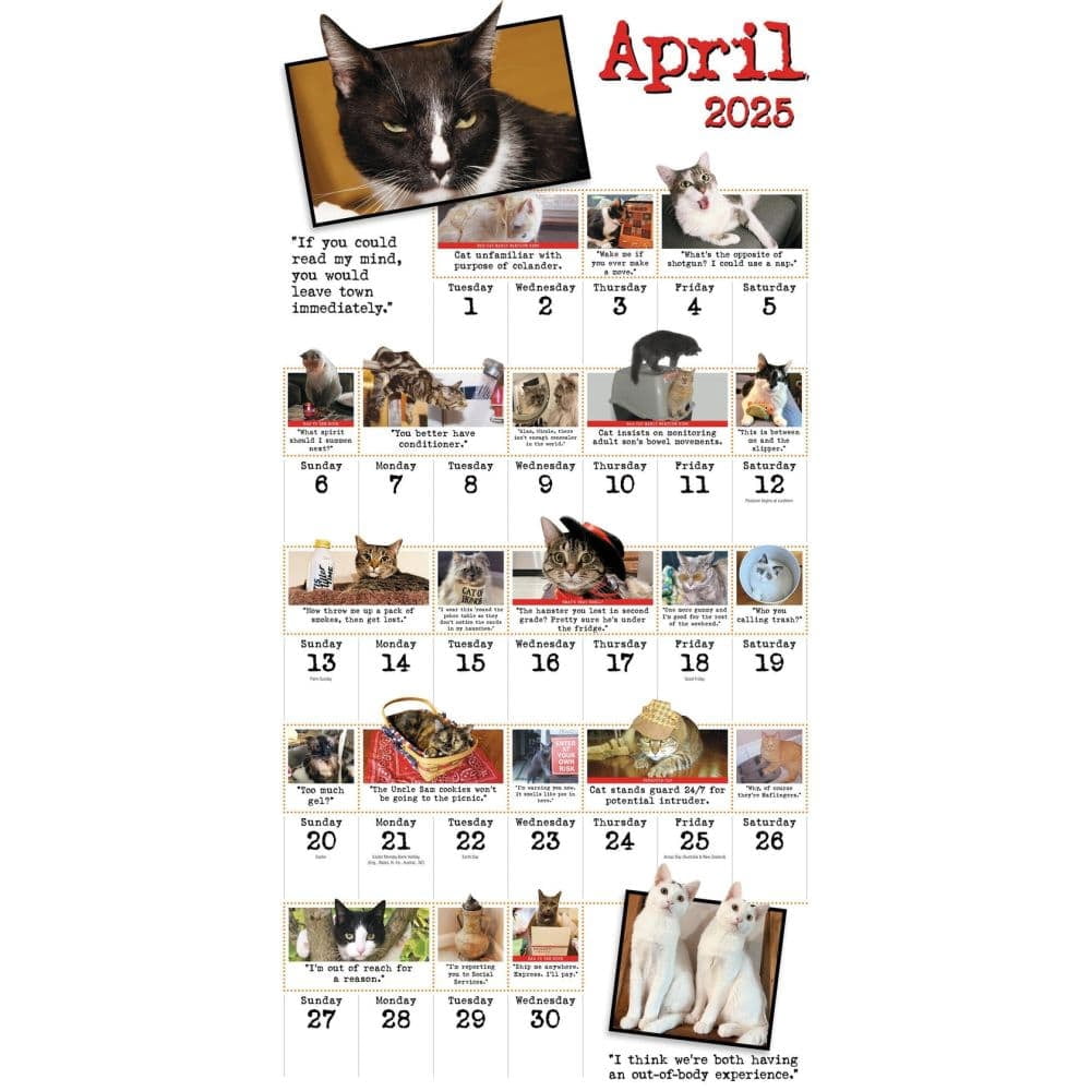 Harry Prichett Bad Cat Wall Calendar 2025: Celebrating the Misfits of the Feline World (12 in x 12 in) wez86
