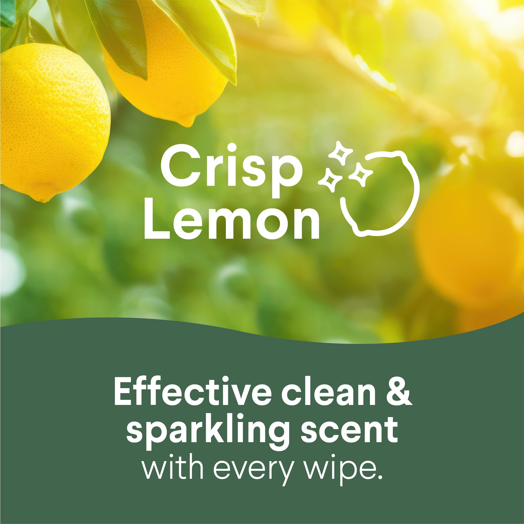 Clorox Disinfecting Cleaning Wipes Variety Pack (Fresh Scent and Crisp Lemon, 105 Count Total) ts1oh