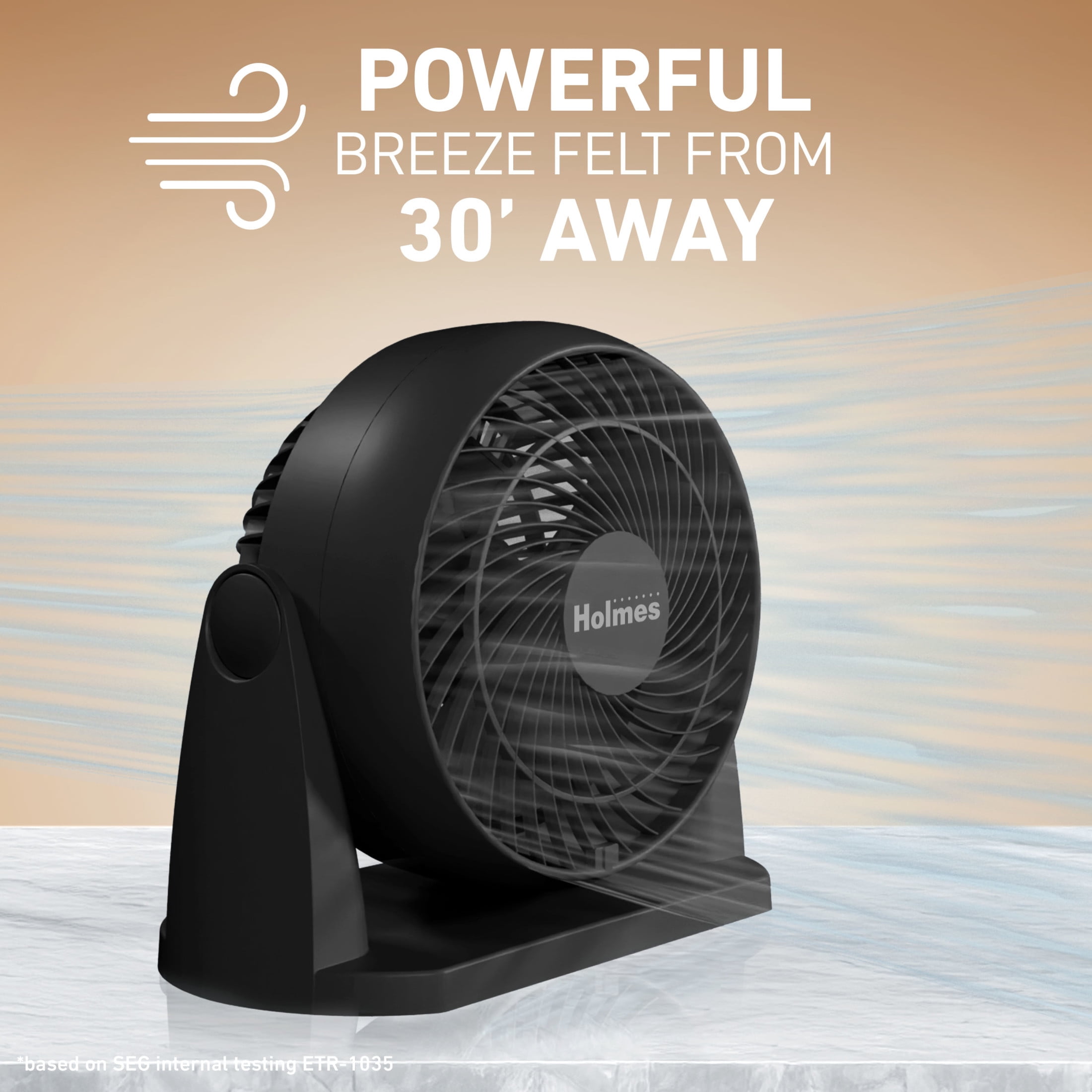 Holmes Blizzard 8 Inch Air Circulator Fan, High Velocity Table Desk Fan (Black, 8 in) lg28d
