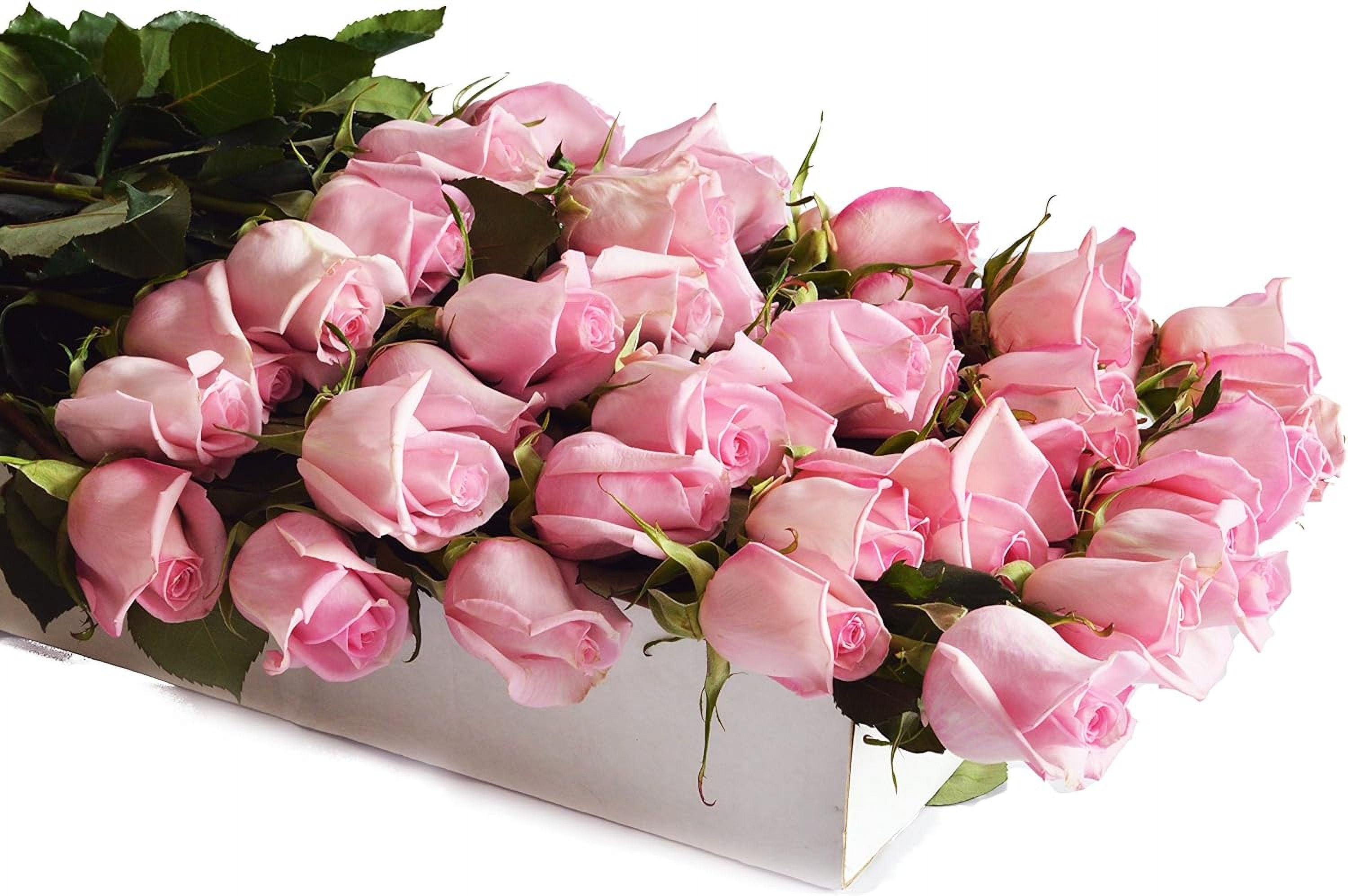 KaBloom Fresh Pink Roses Bouquet (Pink, 100 Stems) r6l1x
