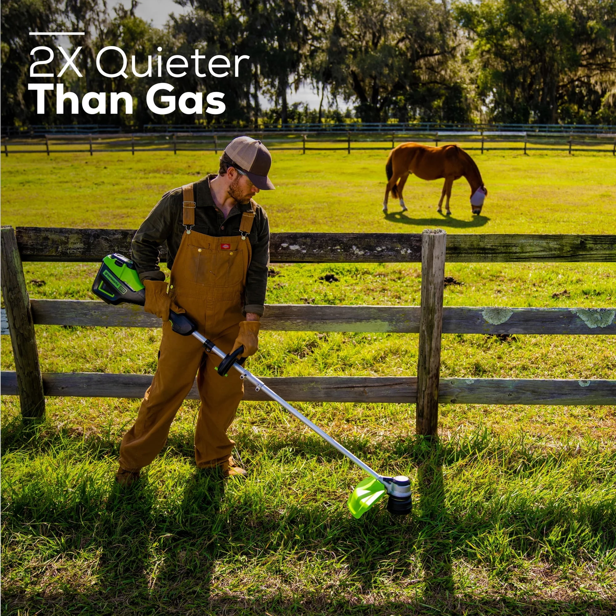 Greenworks 60V 16-in Cordless Brushless String Trimmer and Edger (Green, 2.5 Ah Battery and Charger Included) gckek