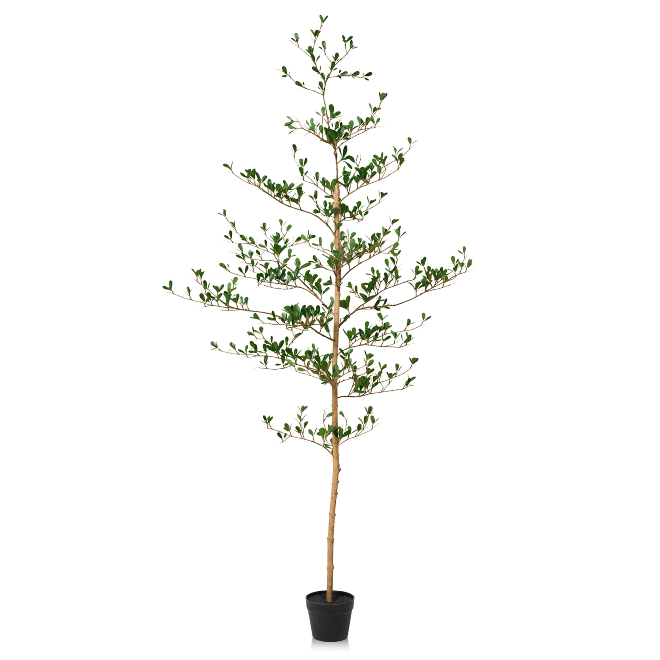 DR.Planzen 6ft Faux Black Olive Tree, Realistic Artificial Potted Plant with Natural Trunk and Silk Leaves (Black, 6 ft) nq7hy