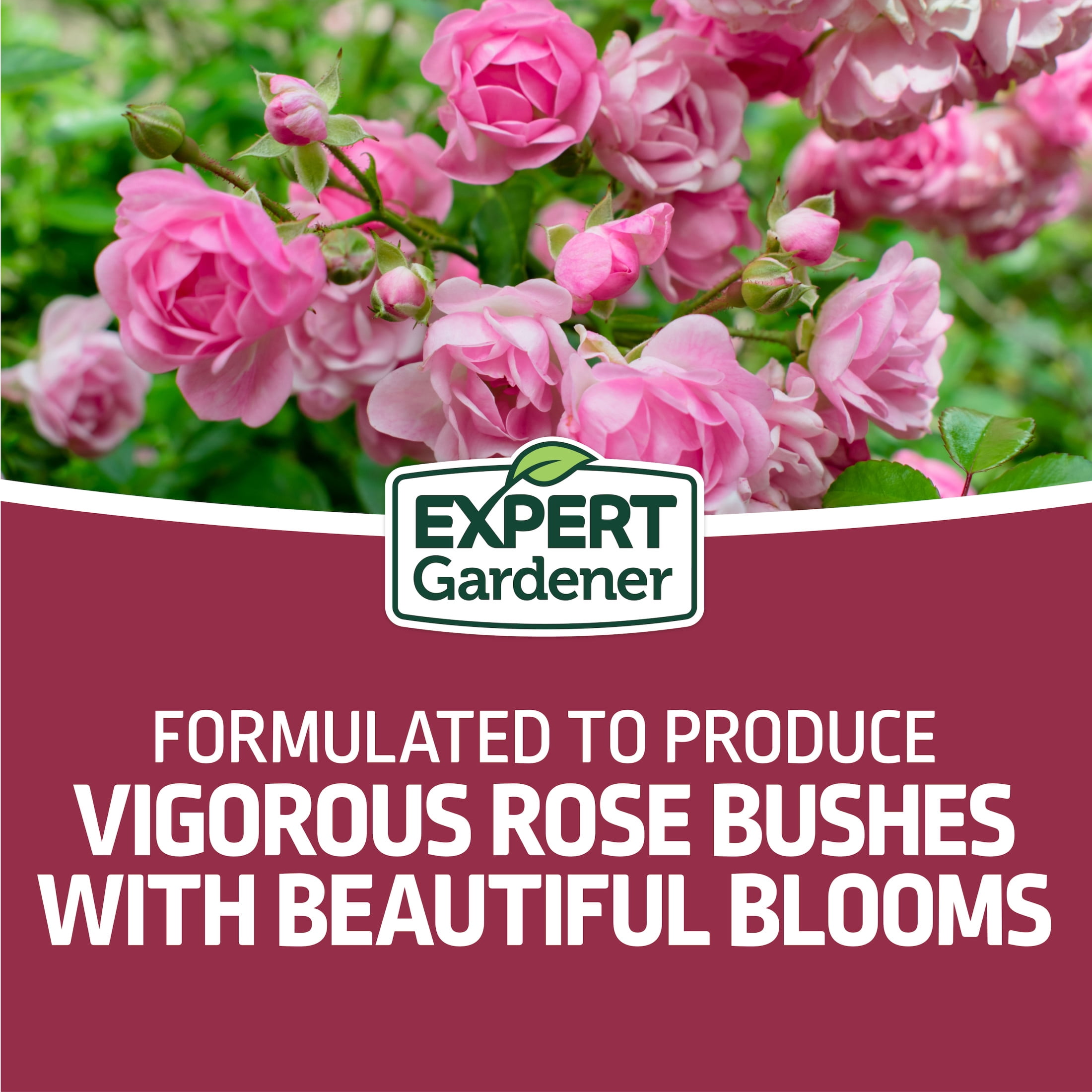 Expert Gardener Rose Plant Food Fertilizer (12-6-10, 4 lb) fbo5f