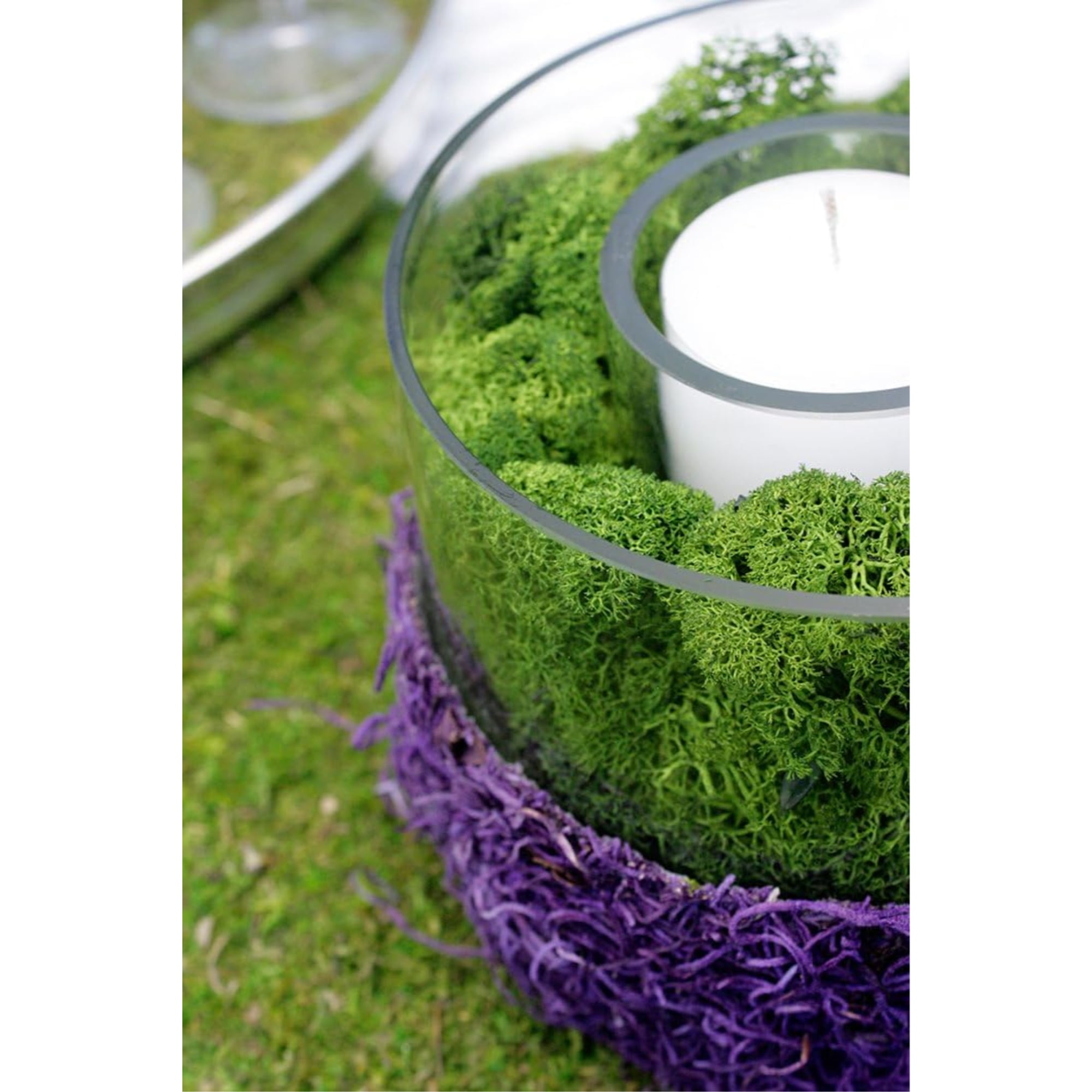 SuperMoss Preserved Reindeer Moss Decorative Craft Filler (Green, 8 oz) 8554h