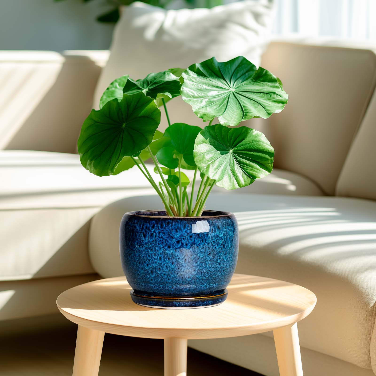 Ordivic Ceramic Planter with Drainage Hole and Saucer for Indoor Plants (Blue, 6 in) eag6w
