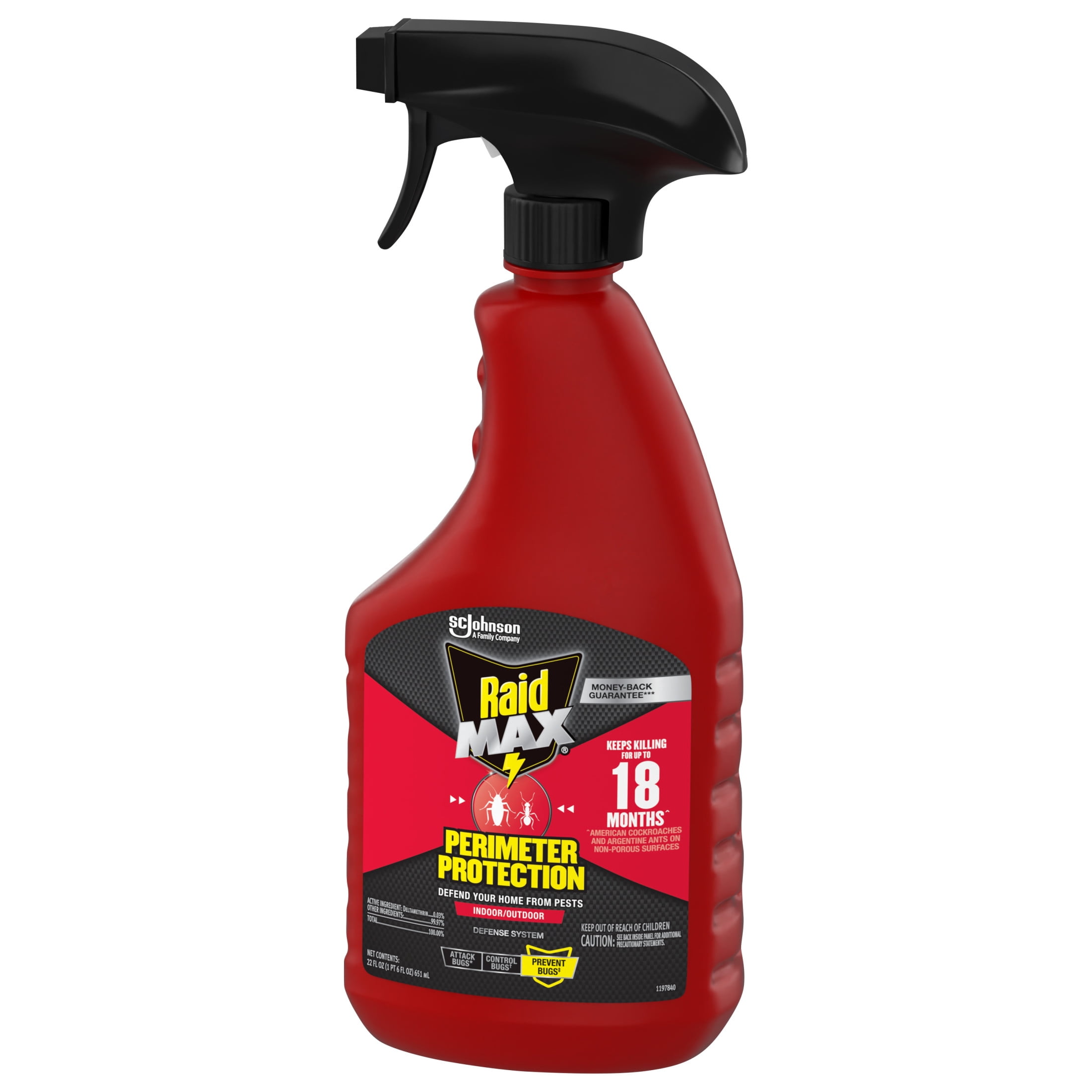 Raid MAX Perimeter Protection Multi Insect Killer Spray (Indoor & Outdoor, 22 fl oz) sm633