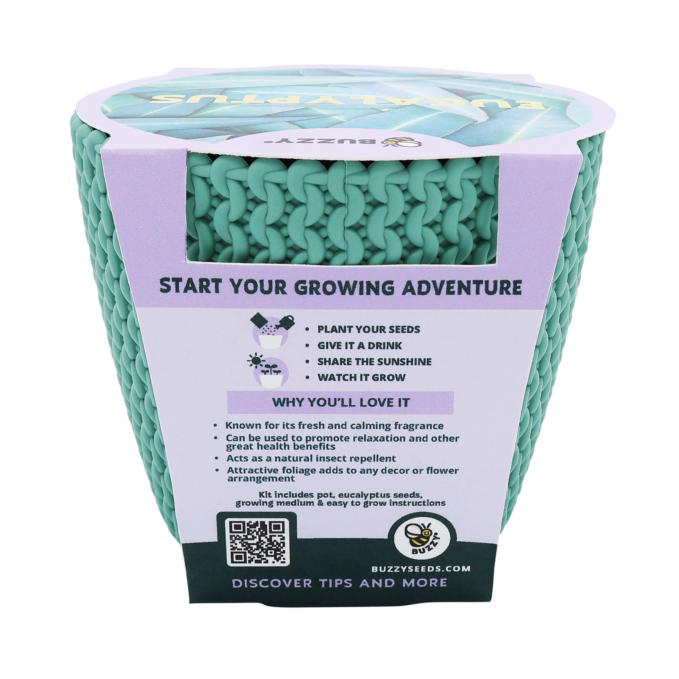 Buzzy Eucalyptus House Plant DIY Growing Kit (Woven Planter, 1 Kit) 6ic3f