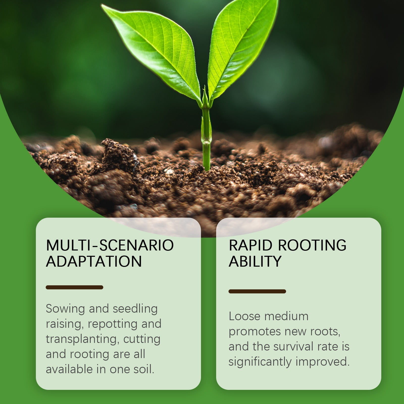ROOTED IN SCIENCE Universal Potting Soil Mix for Indoor Plants and Succulents (Green, 8 lb) 95xre