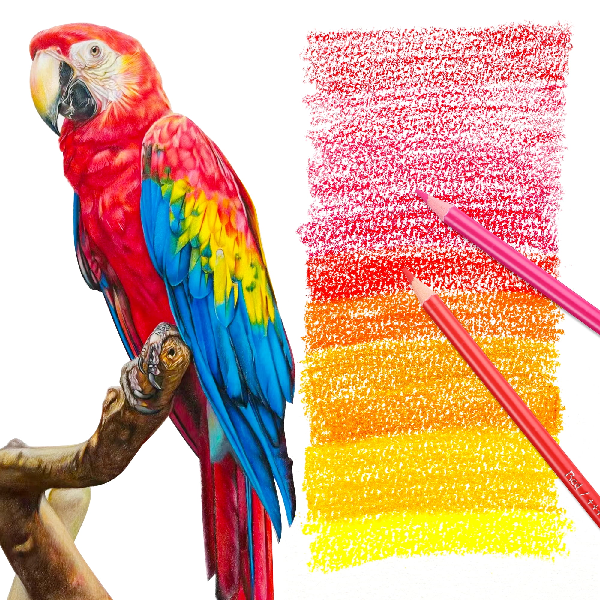 HIFORNY 120-Piece Soft Core Colored Pencil Art Set for Drawing, Sketching & Adult Coloring (120 Count) wsim5