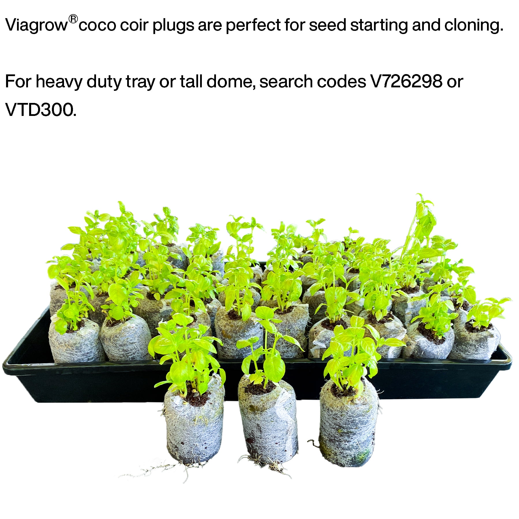 Viagrow Coco Coir Seed Starter Pods, Sustainable Expandable Soil Discs for Indoor and Outdoor Gardening (50-Pack, 2 in) yhe8h