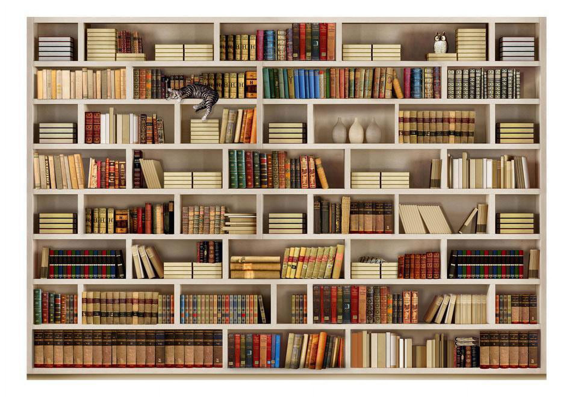 Tiptophomedecor Peel and Stick Wallpaper Mural (Home Library, 24 in x 120 in) pkntx