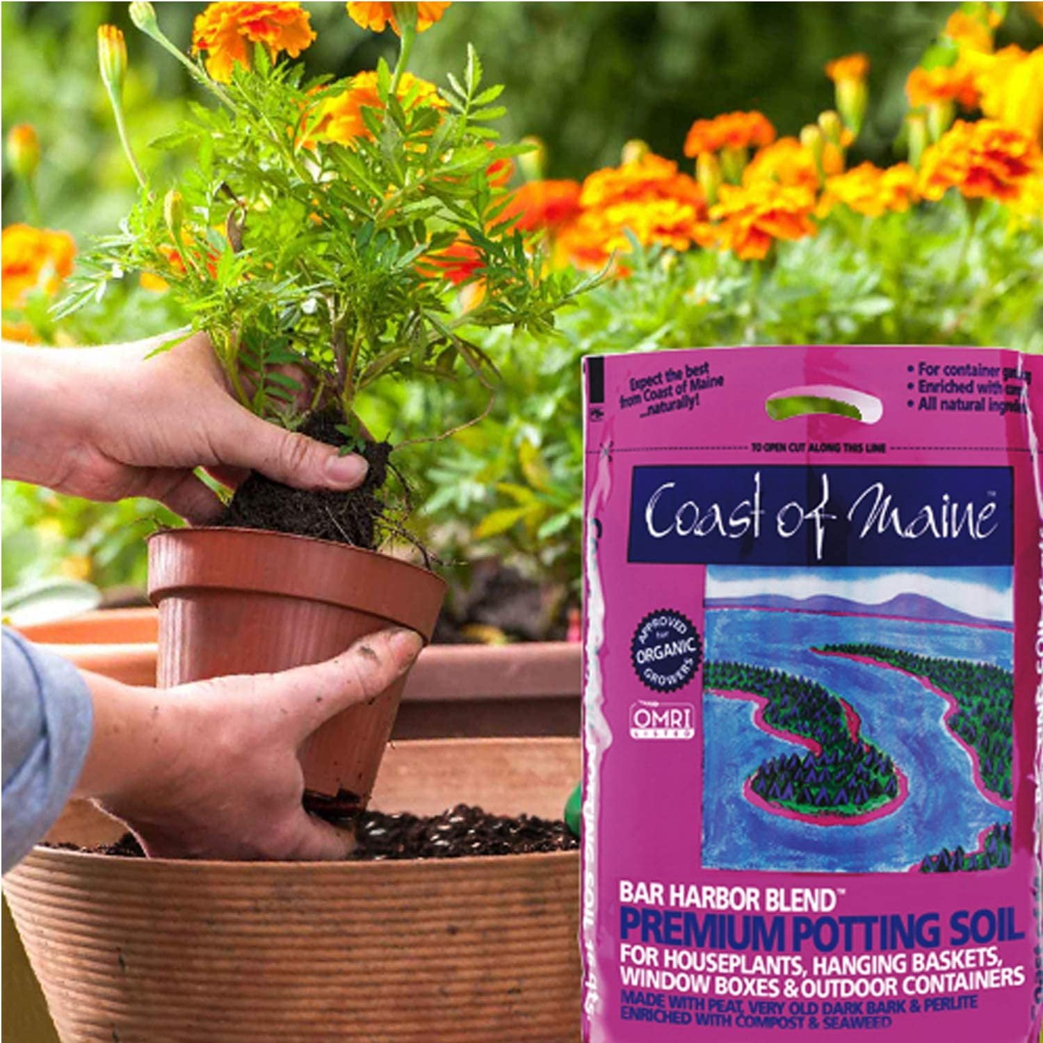 Coast of Maine Bar Harbor Blend Organic Compost Potting Soil for Container Gardens (Dark Brown, 4 cu ft, 2 Pack) 8lgrw