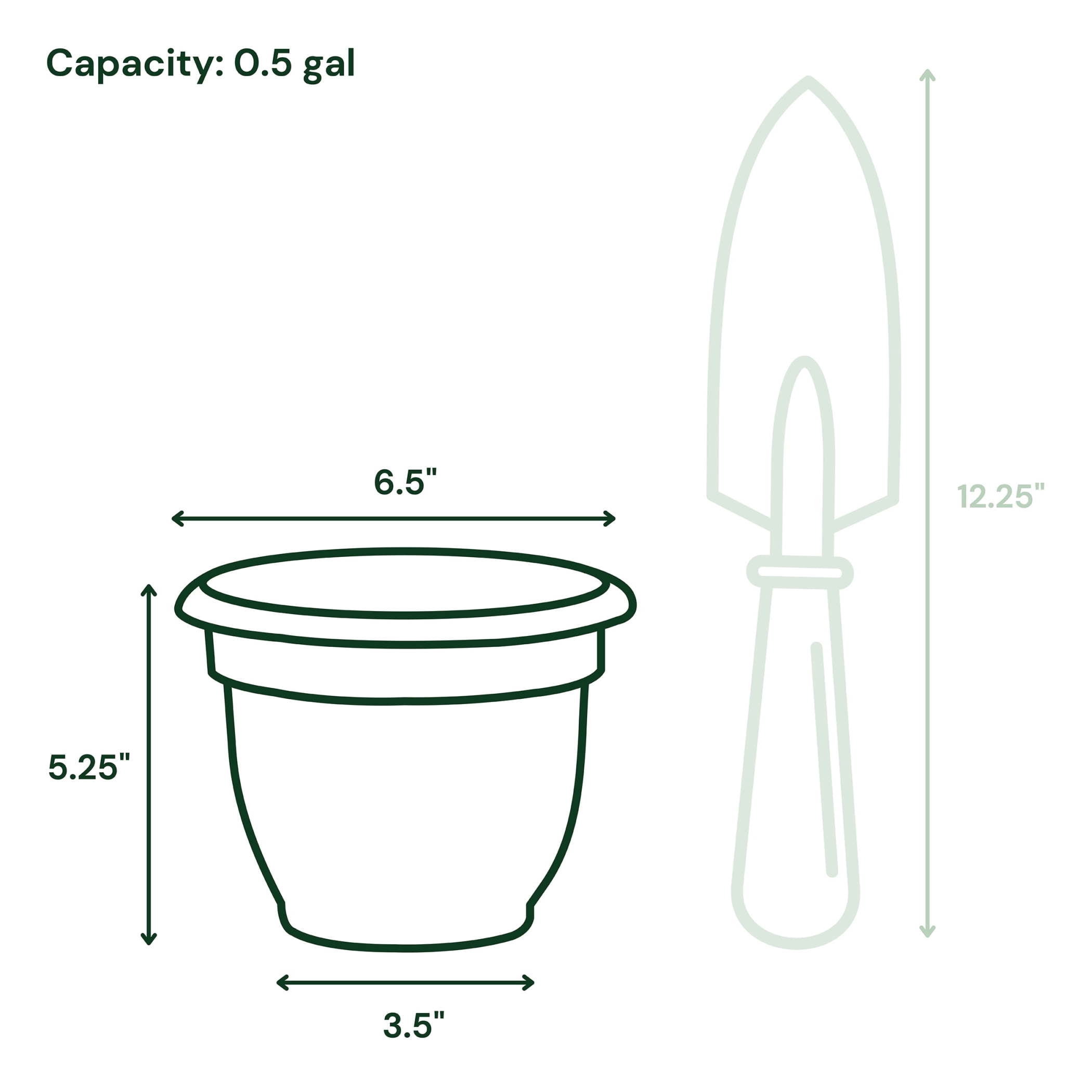 Bloem Ariana Self-Watering Plastic Planter Pot (Green, 6 in) ist7e