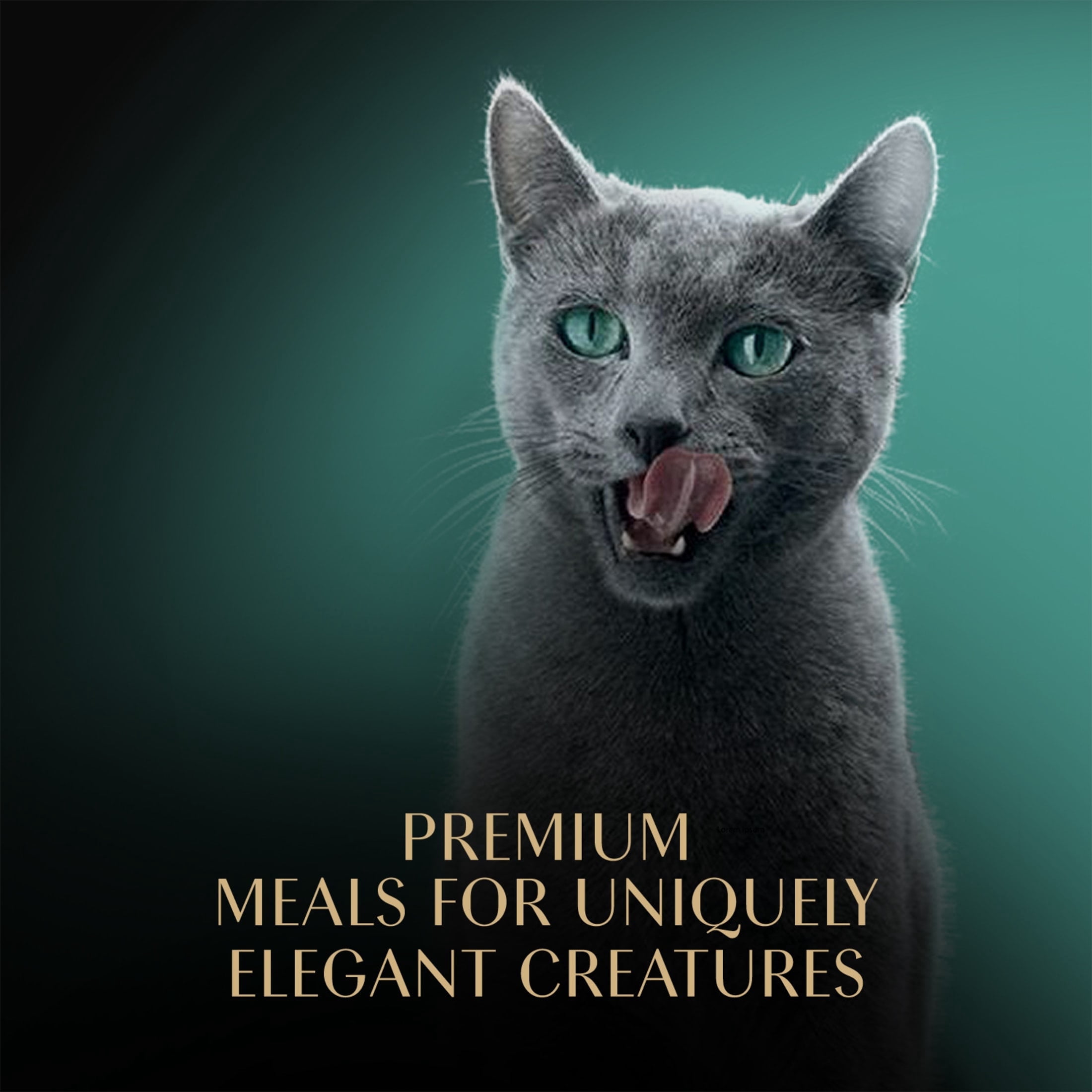 SHEBA Perfect Portions Wet Cat Food Cuts in Gravy Variety Pack (24 Trays, 2.6 oz each) knfl8