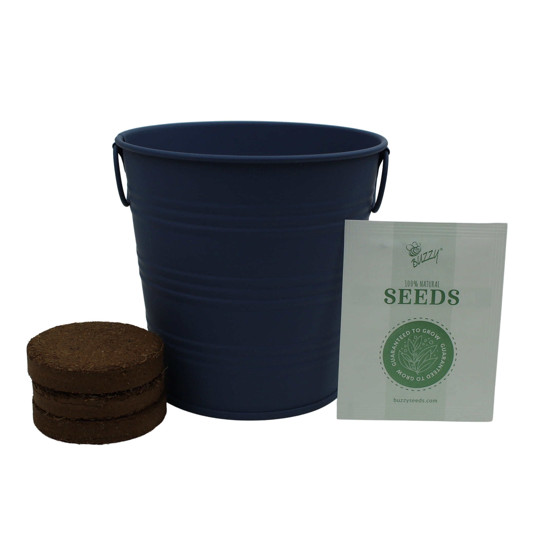 Buzzy Catmint Herb Garden Starter Kit with Metal Pail (1 Pack) 43un4