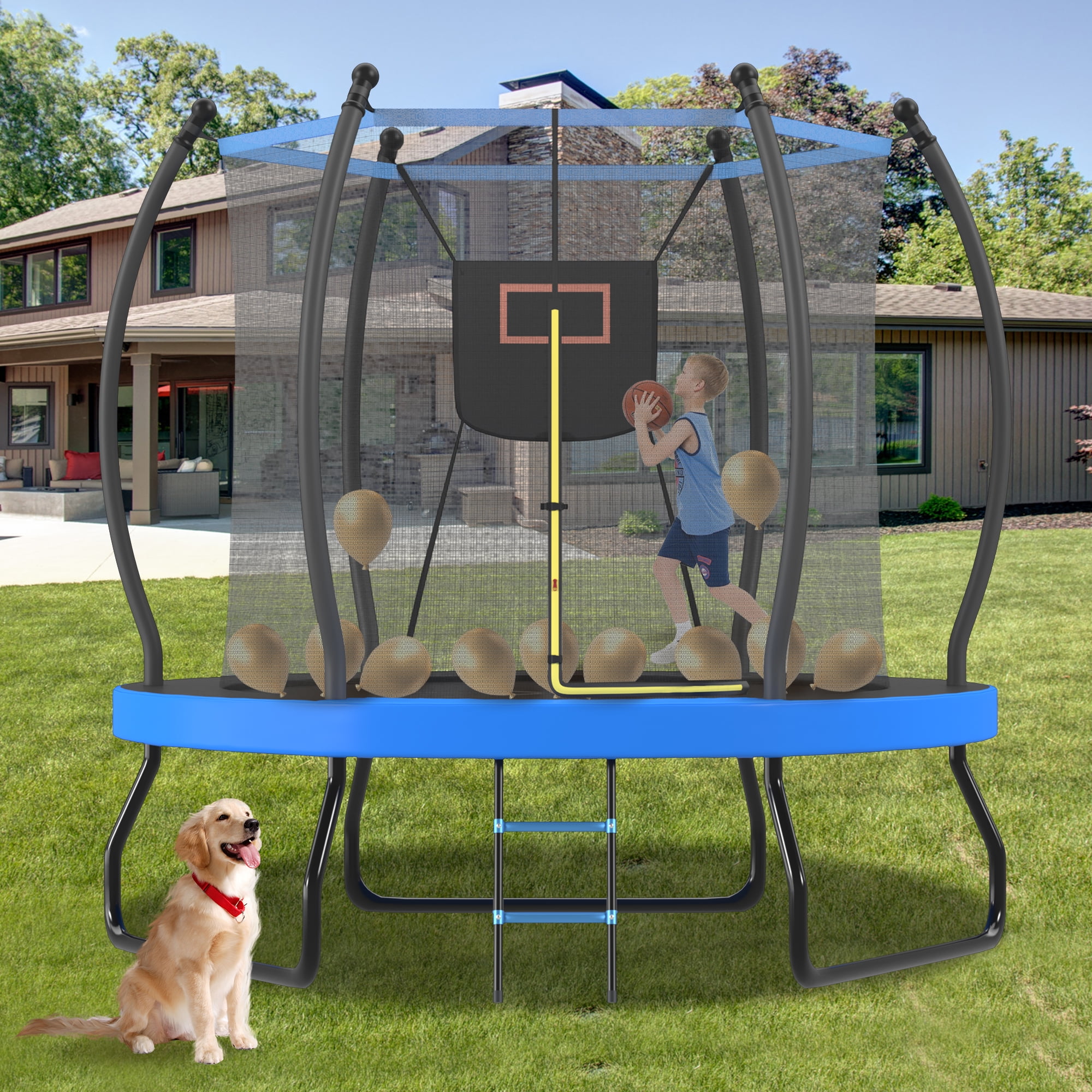 Euroco 8 ft Outdoor Trampoline with Basketball Hoop and Ladder (Blue, 8 ft) o80er