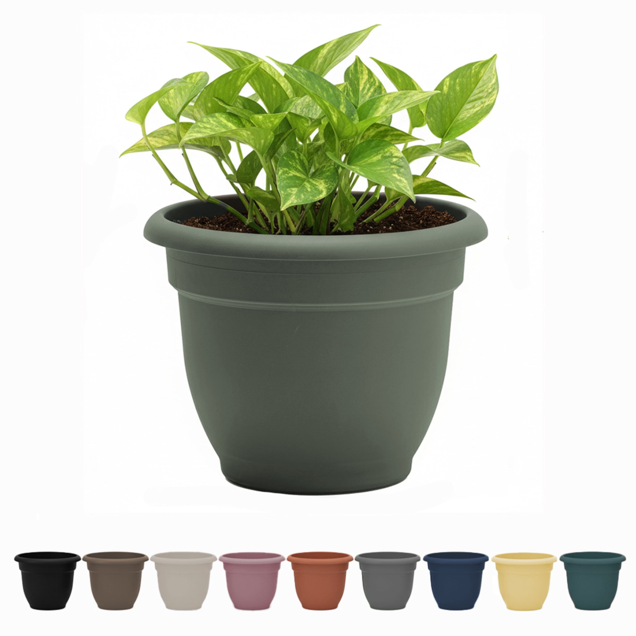 Bloem Ariana Self-Watering Plastic Planter Pot (Green, 6 in) ist7e