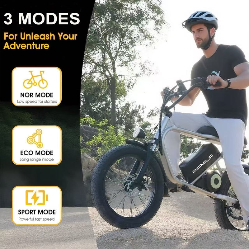 Pamila E3 Electric Dirt Bike, 1000W Mid-Drive Motor, All-Terrain Fat Tire E-Bike (White, 20 in) 5zojb