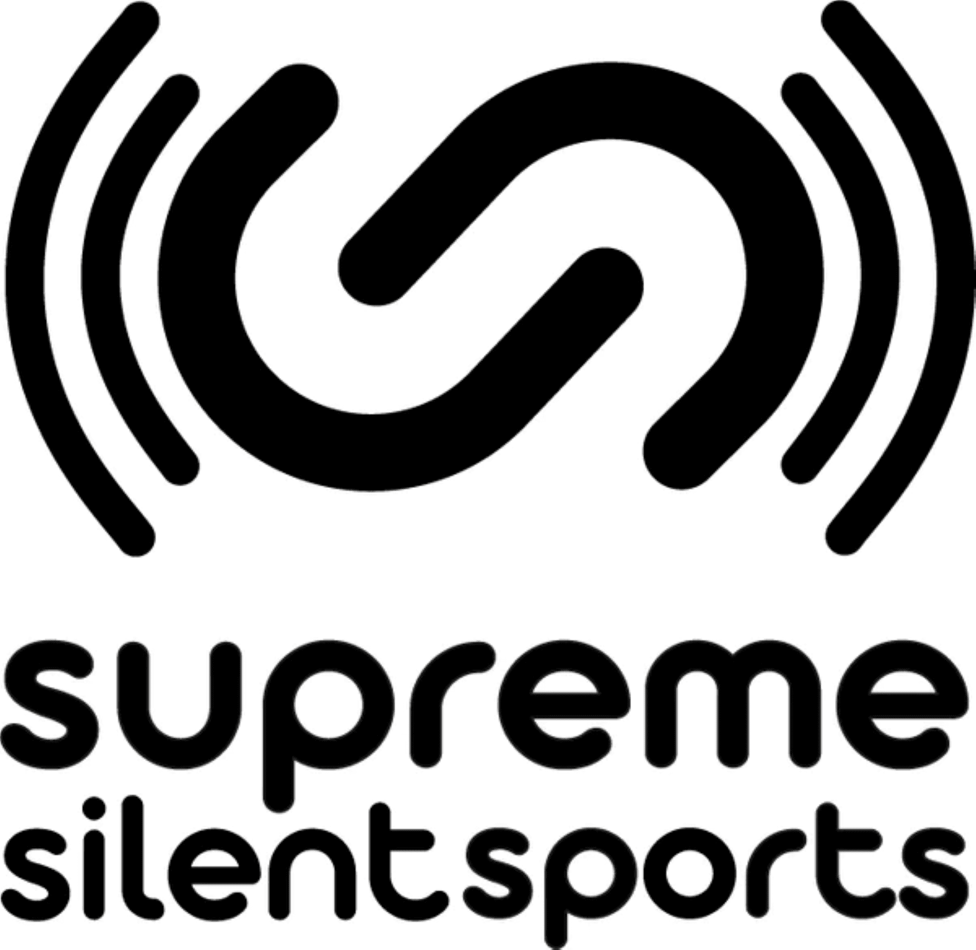 Supreme Silent Sports Pickleball Paddle Set, Noise-Reducing Indoor Practice Gear (2 Paddles, 2 Balls) hljxh