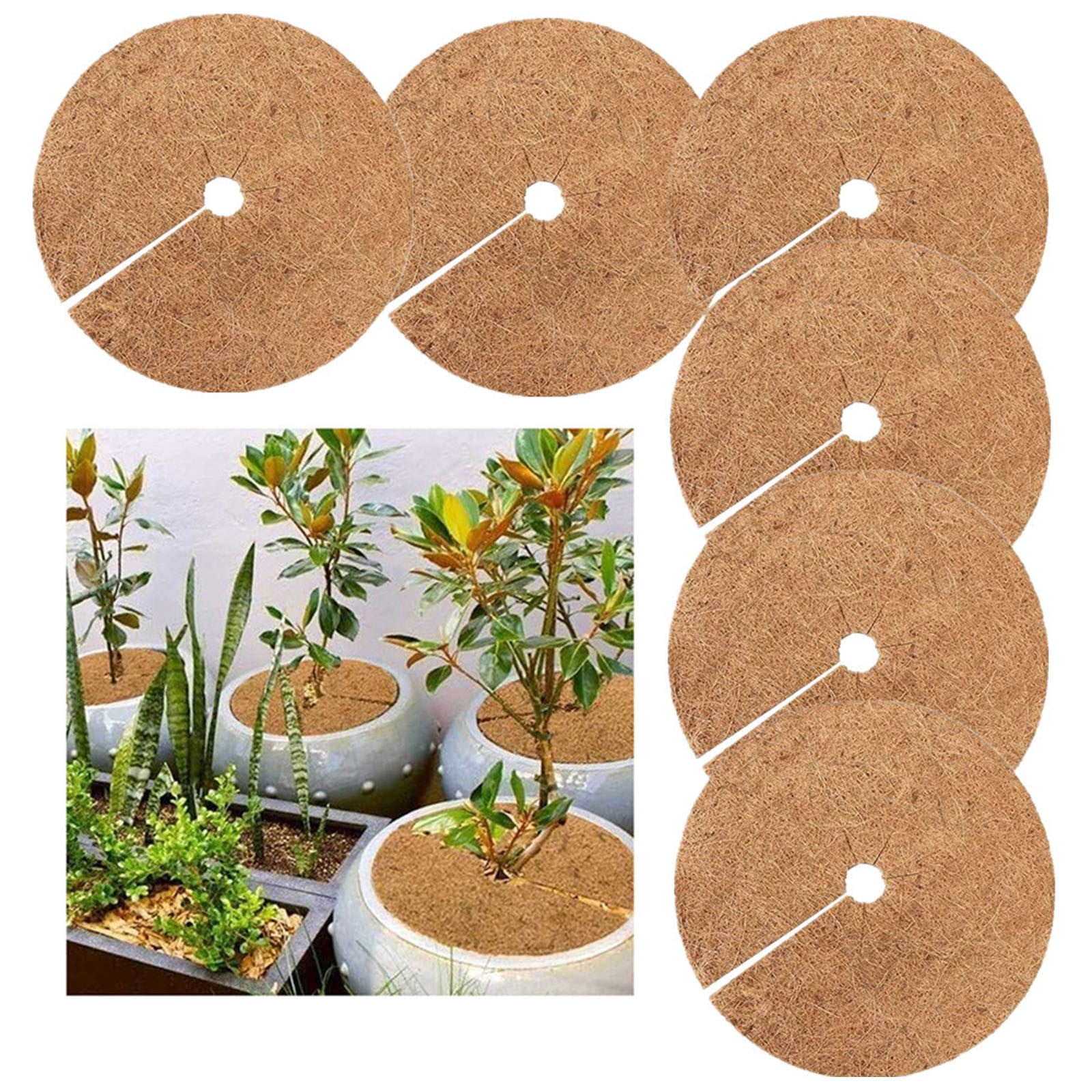 NANDIYNZHI Natural Coconut Fiber Mulch Ring for Plant Pots, Weed Barrier and Moisture Retention (6 Pack, 7.9 in) u492d