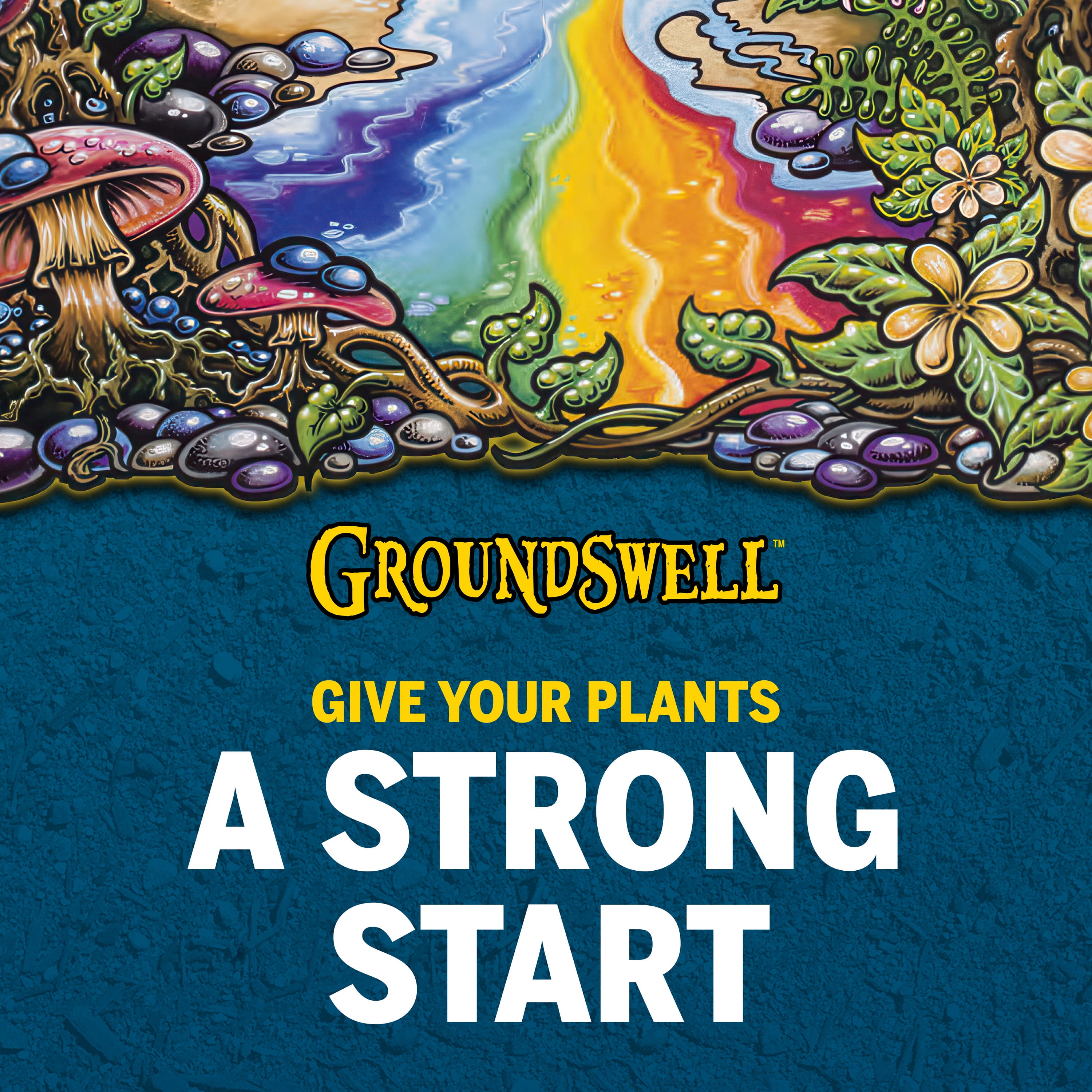 Mother Earth Groundswell Performance Soil, All-Purpose Potting Mix for Indoor and Outdoor Plants (8 qt) zrp9i