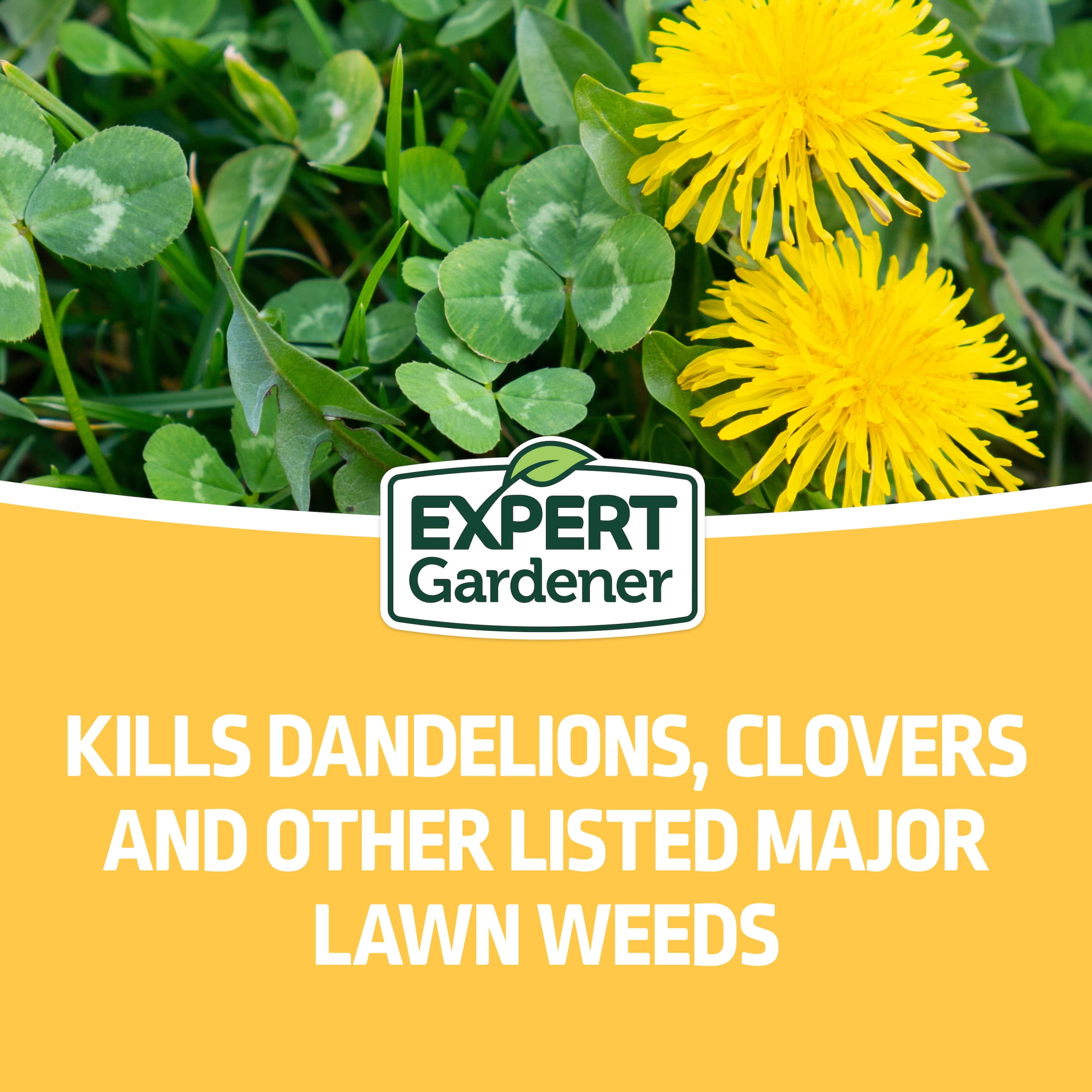 Expert Gardener Weed and Feed Fertilizer Lawn Care Treatment (32 oz) kgowz
