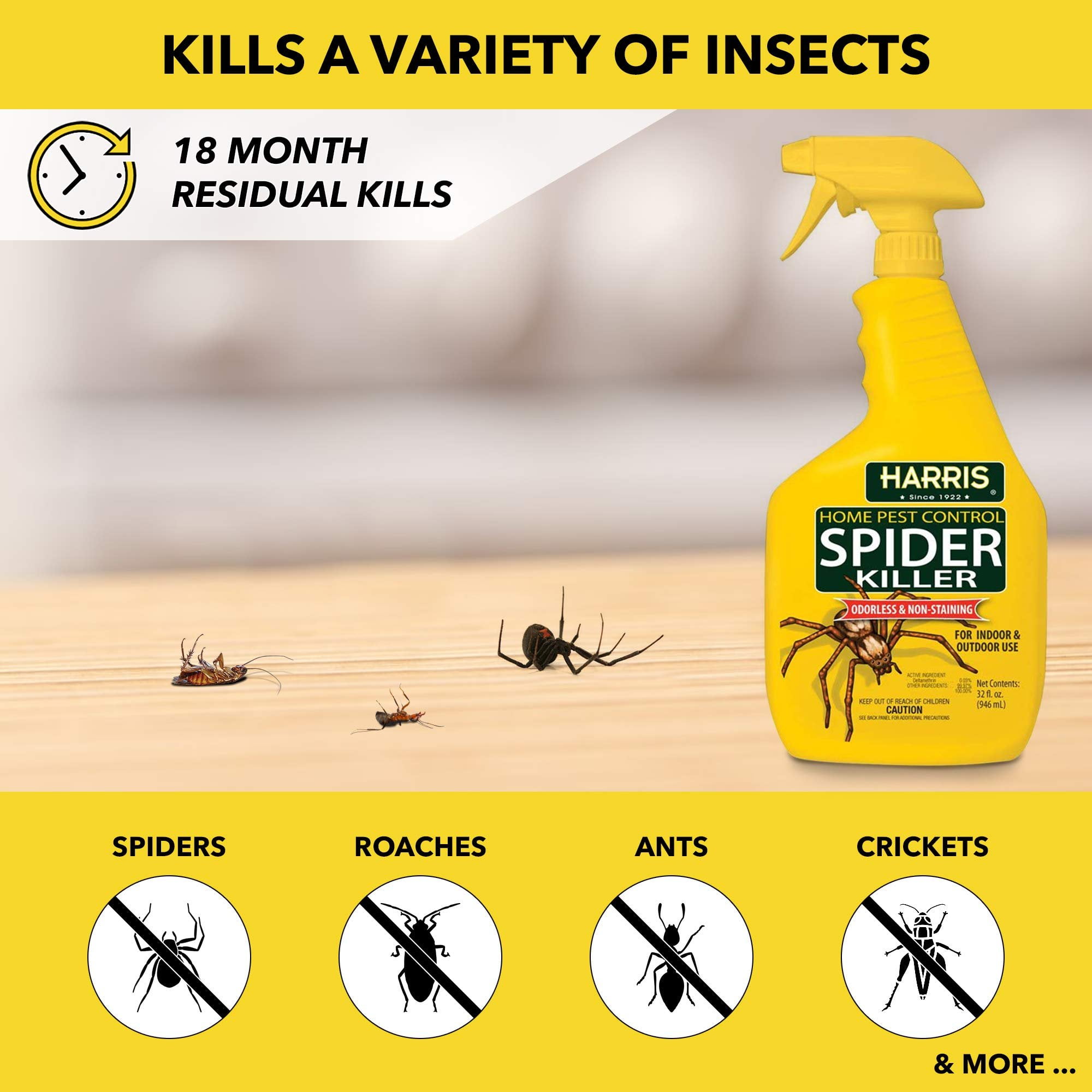 HARRIS Spider Killer Liquid Spray, Odorless and Non-Staining Insect Control (Clear, 64 fl oz, 2-Pack) kn1yn