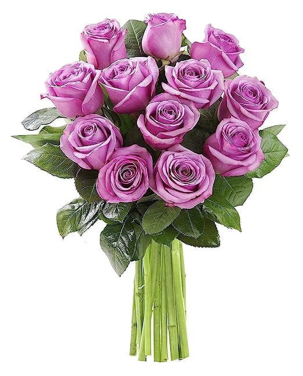 KaBloom Fresh Lavender Rose Bouquet (12 Roses, 3 Greens, 15-Stem Arrangement) mwqcj
