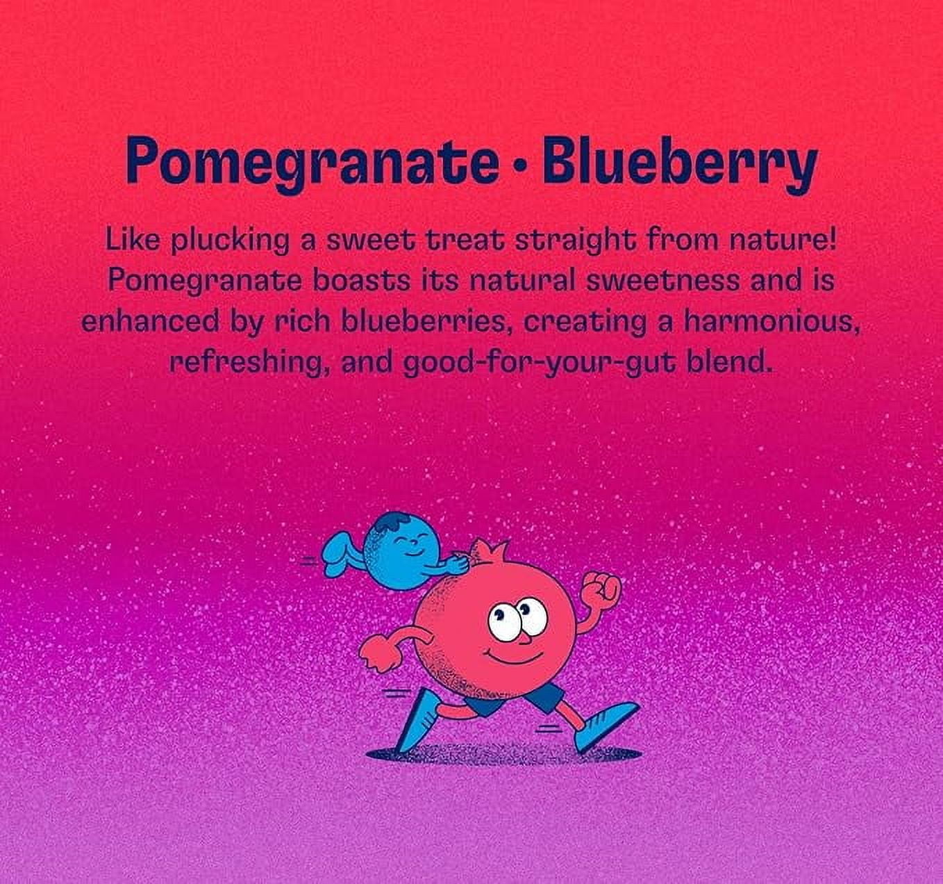 Health-Ade Blueberry Pomegranate Kombucha (16 fl oz) biaxy