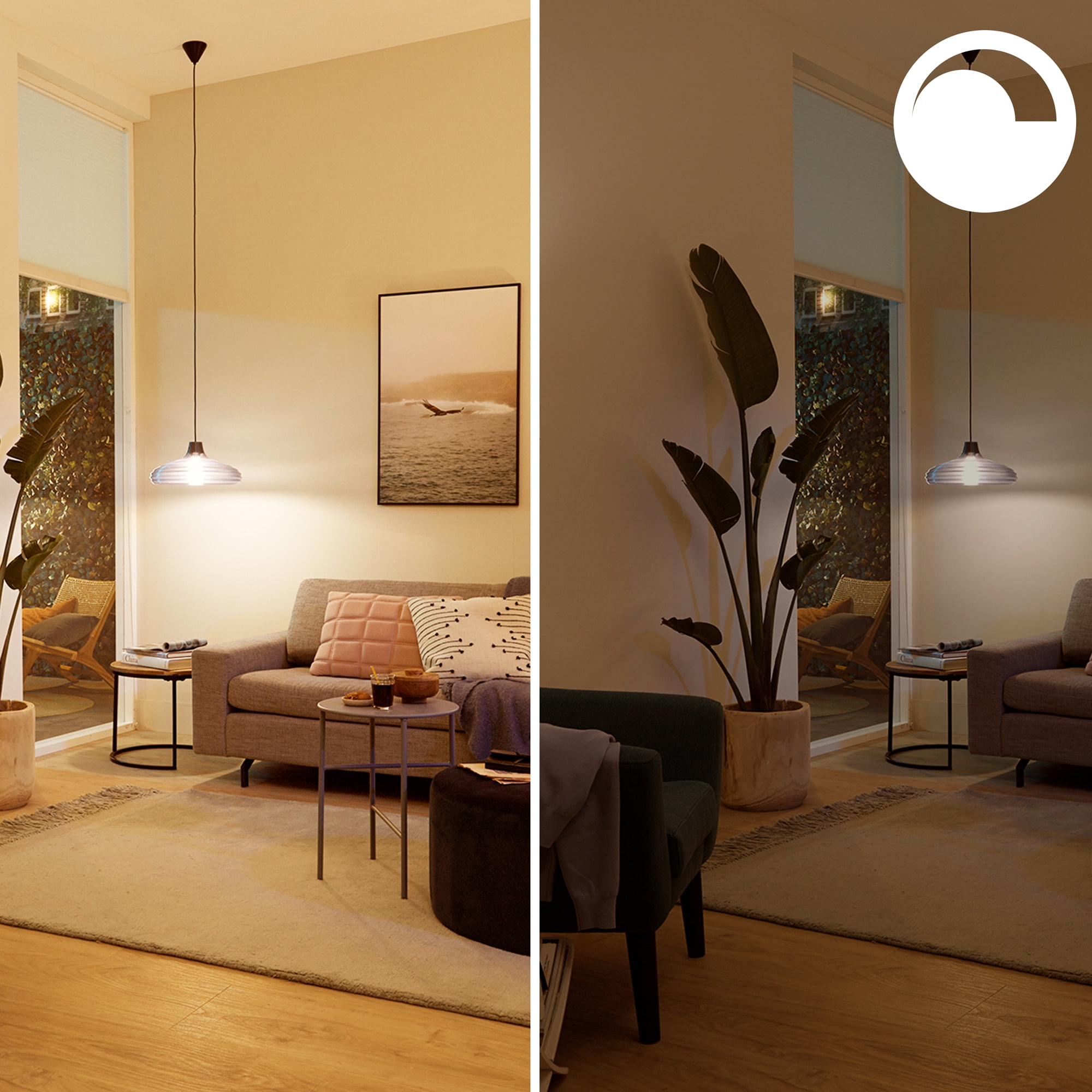 Philips Smart LED BR30 Floodlight, Color & Tunable White, Dimmable, E26 Base (1-Pack) 6m5oc