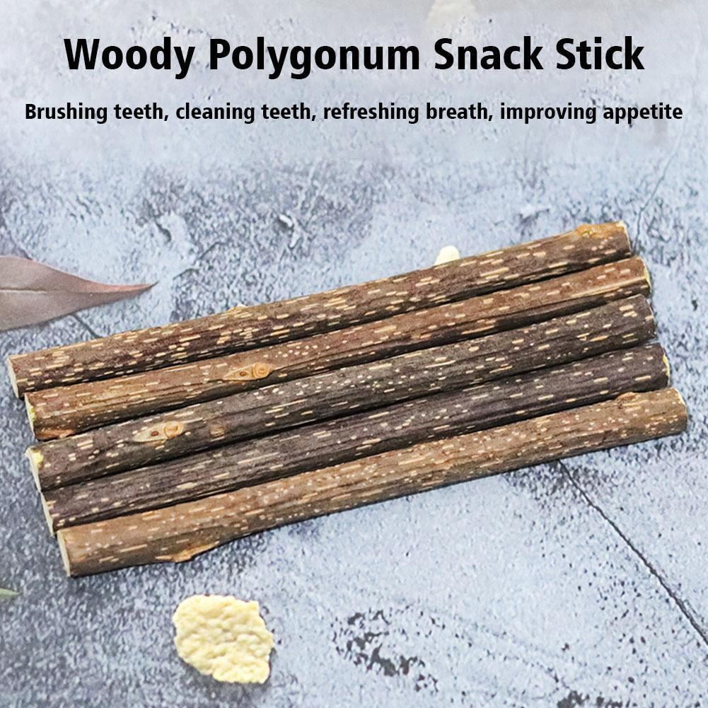 Yiokii Natural Matatabi Cat Chew Sticks Organic Dental Molar Toy (Green, 5 Pack) b2ytl