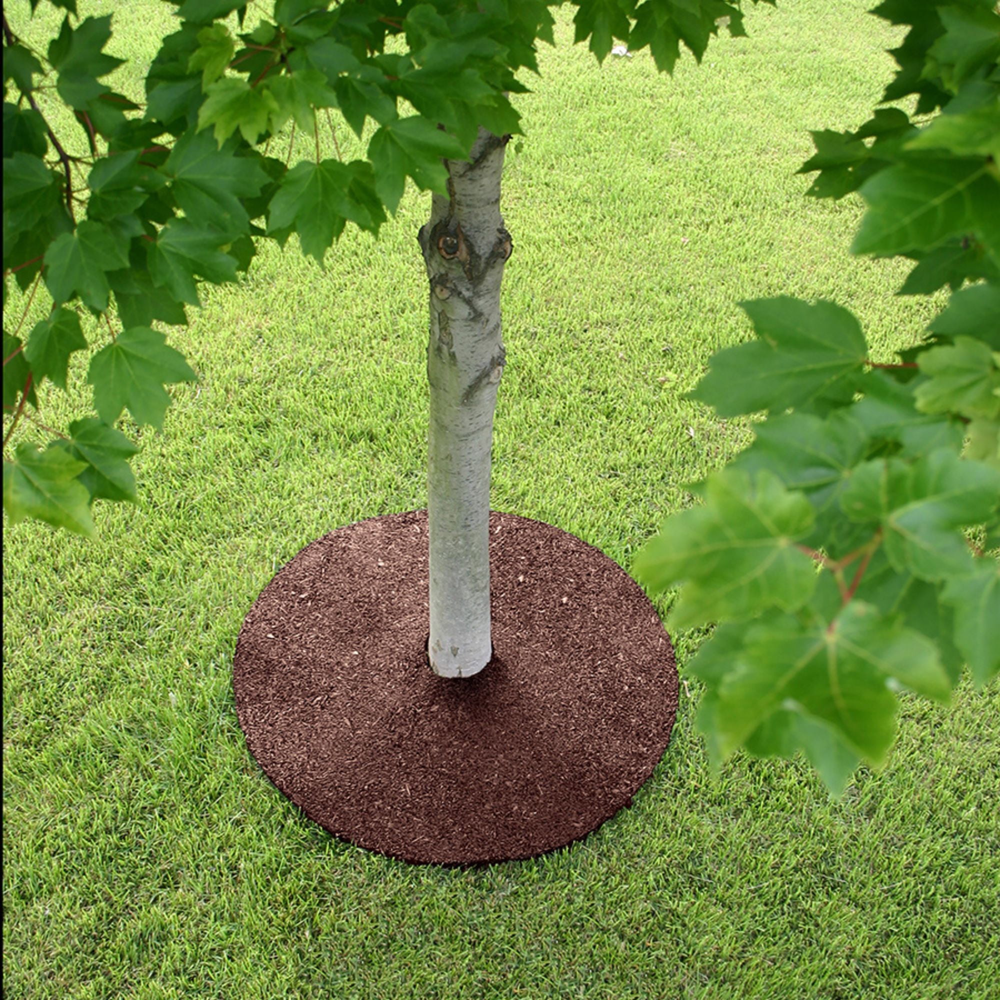 GroundSmart Rubber Mulch Tree Ring, Weed Prevention Landscape Edging (Red, 24 in, 3 Pack) gadsd