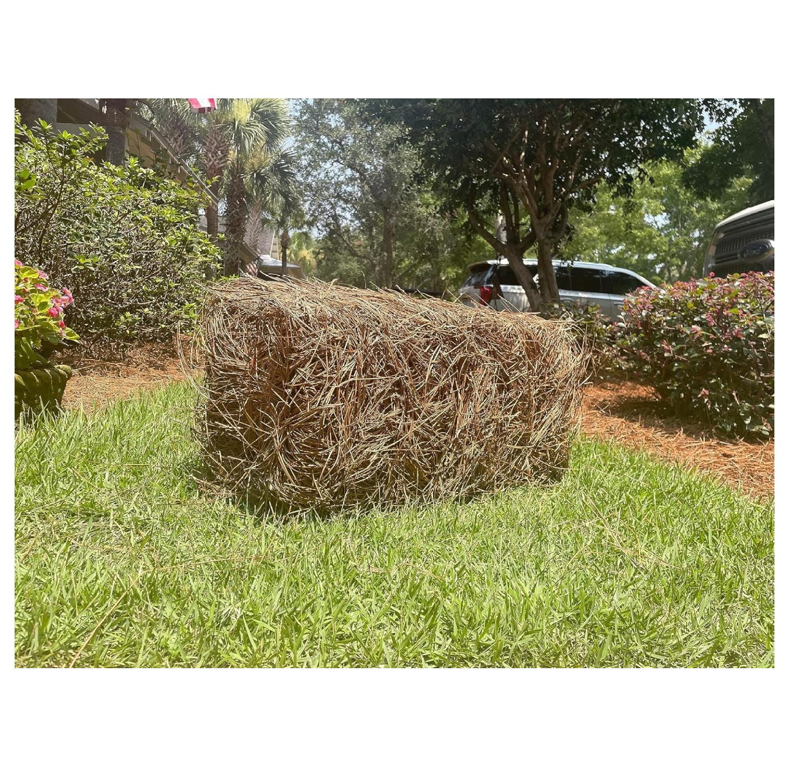 Kiddofun Premium Square Pine Straw Bale for Gardening and Landscaping (65-70 Sq. Ft. Coverage) lg8y3
