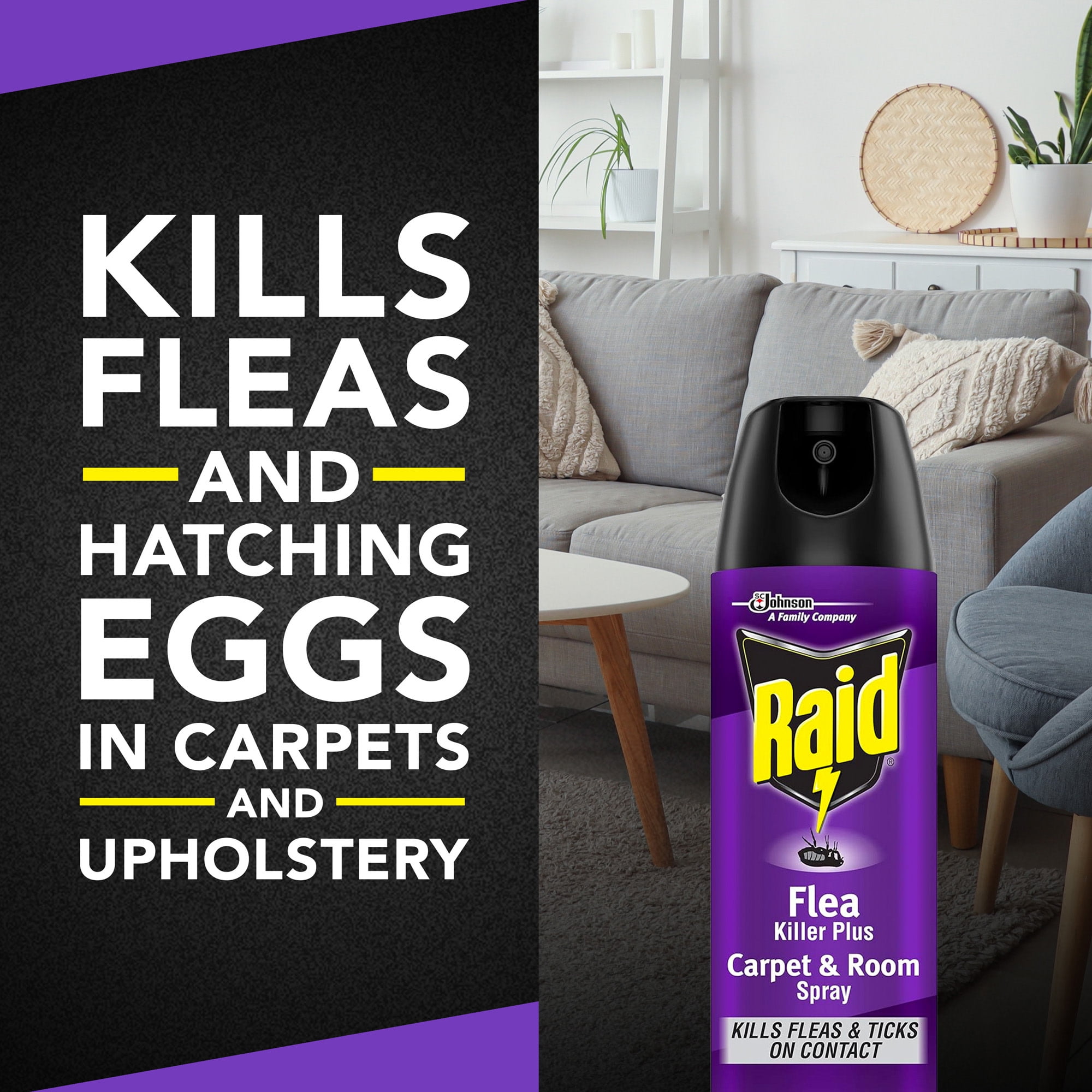 Raid Flea Killer Carpet and Room Spray, Contact Insecticide for Fleas and Ticks (16 oz) d0afh
